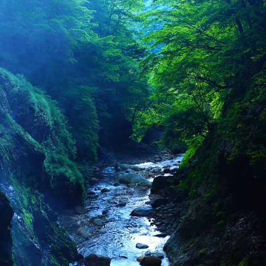 [Around] Dark green Matsukawa Valley
