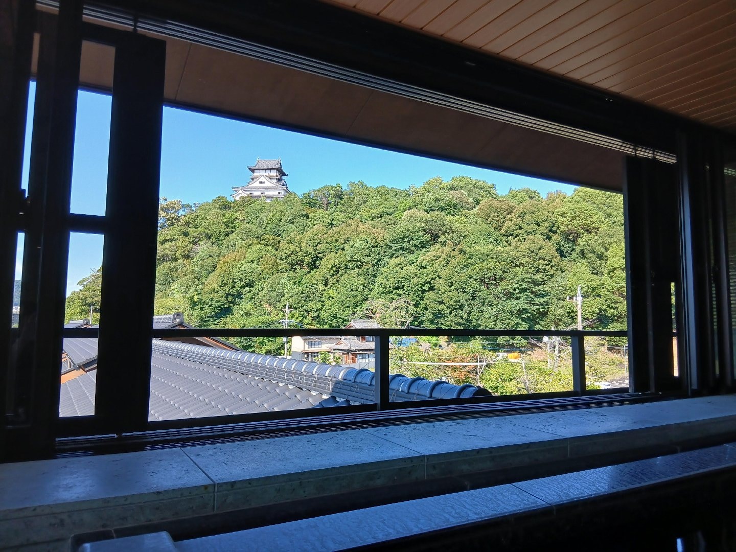 20260724_160414.jpg