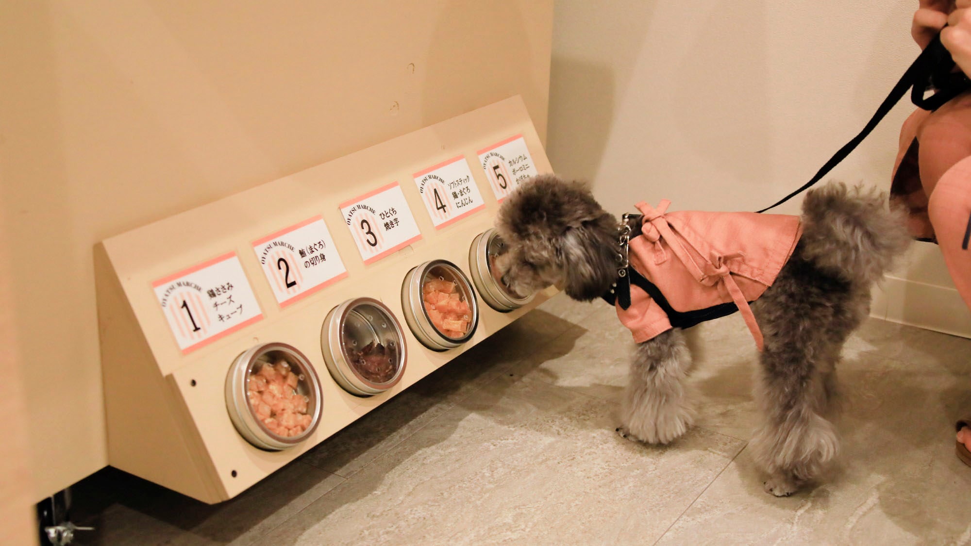 [Snack Wagon] You can find your favorite snack by smelling it.