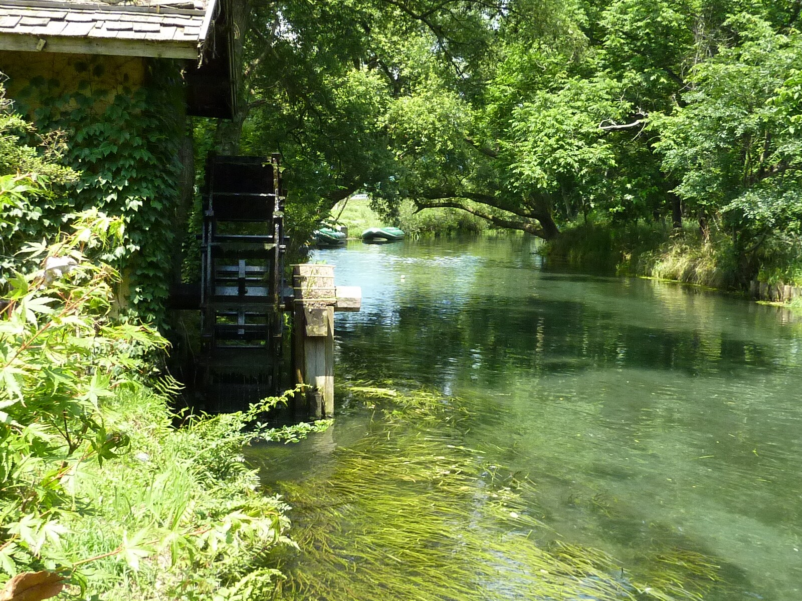 Daio Wasabi Farm Watermill