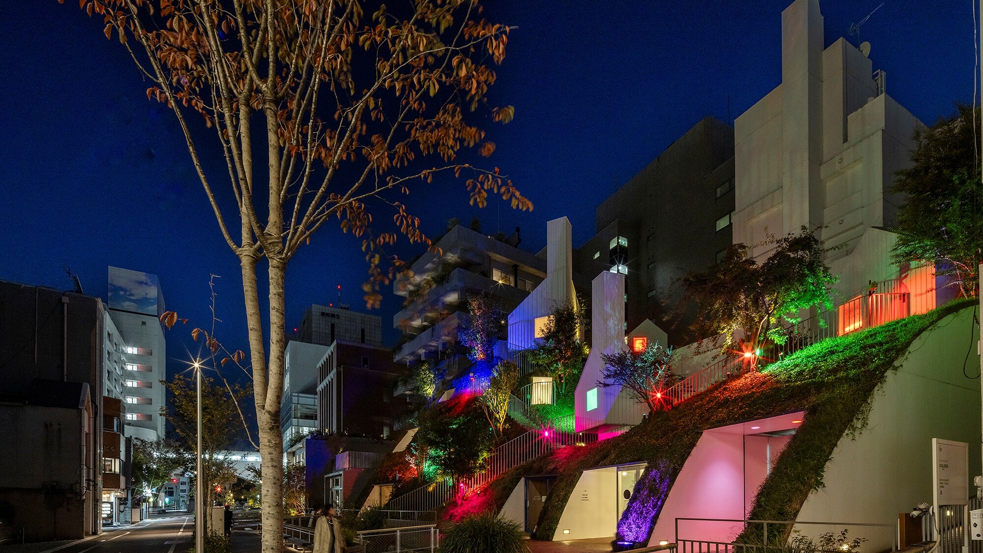 Kenzo Onoda "Art Illumination 2024: Lichtung"