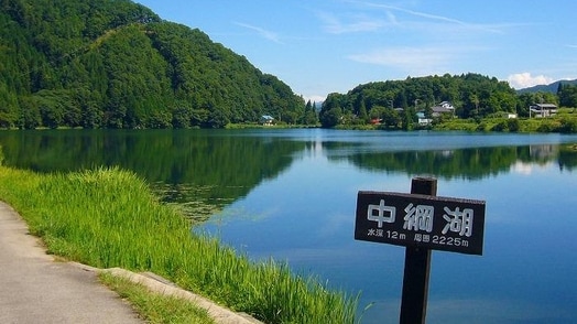 酒店周边景色/夏季中津名湖