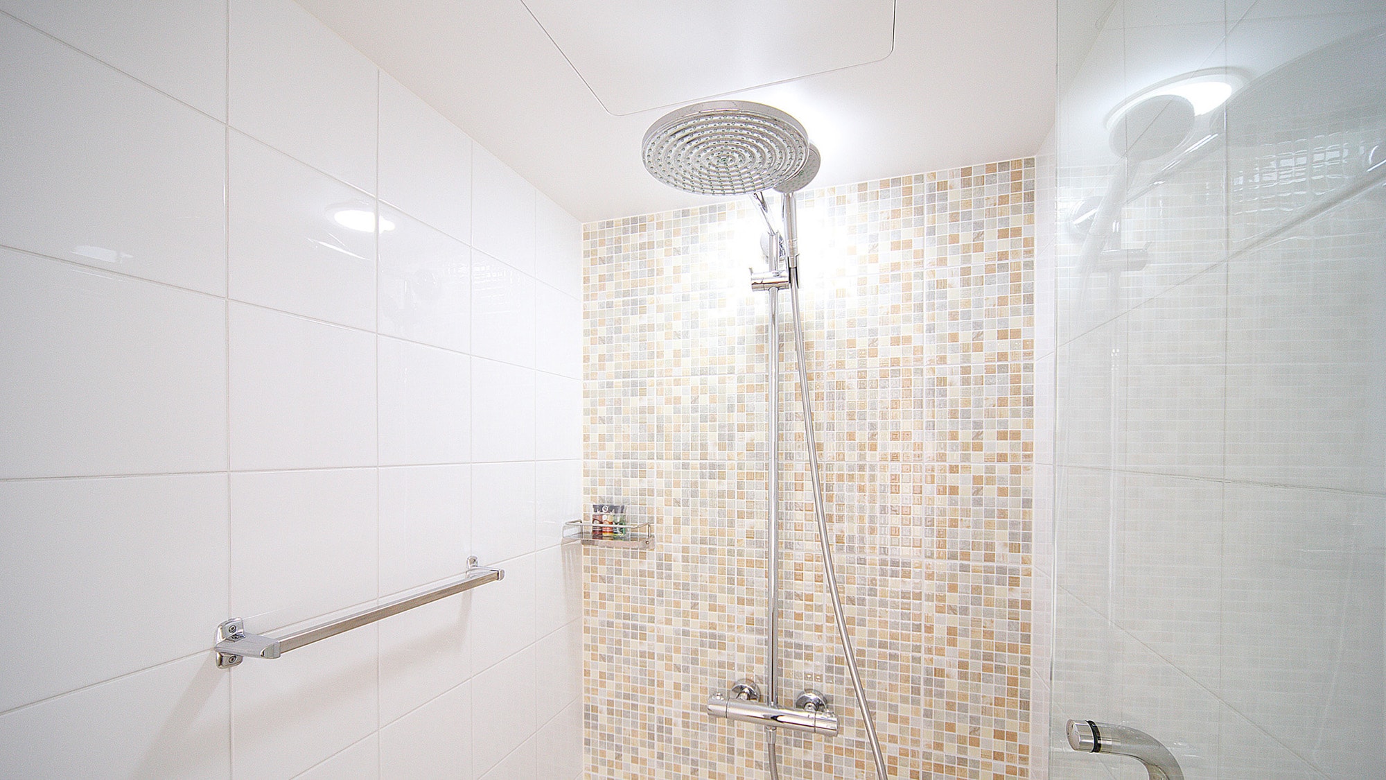 Equipped with a rain shower and a height-adjustable hand shower (no bathtub).