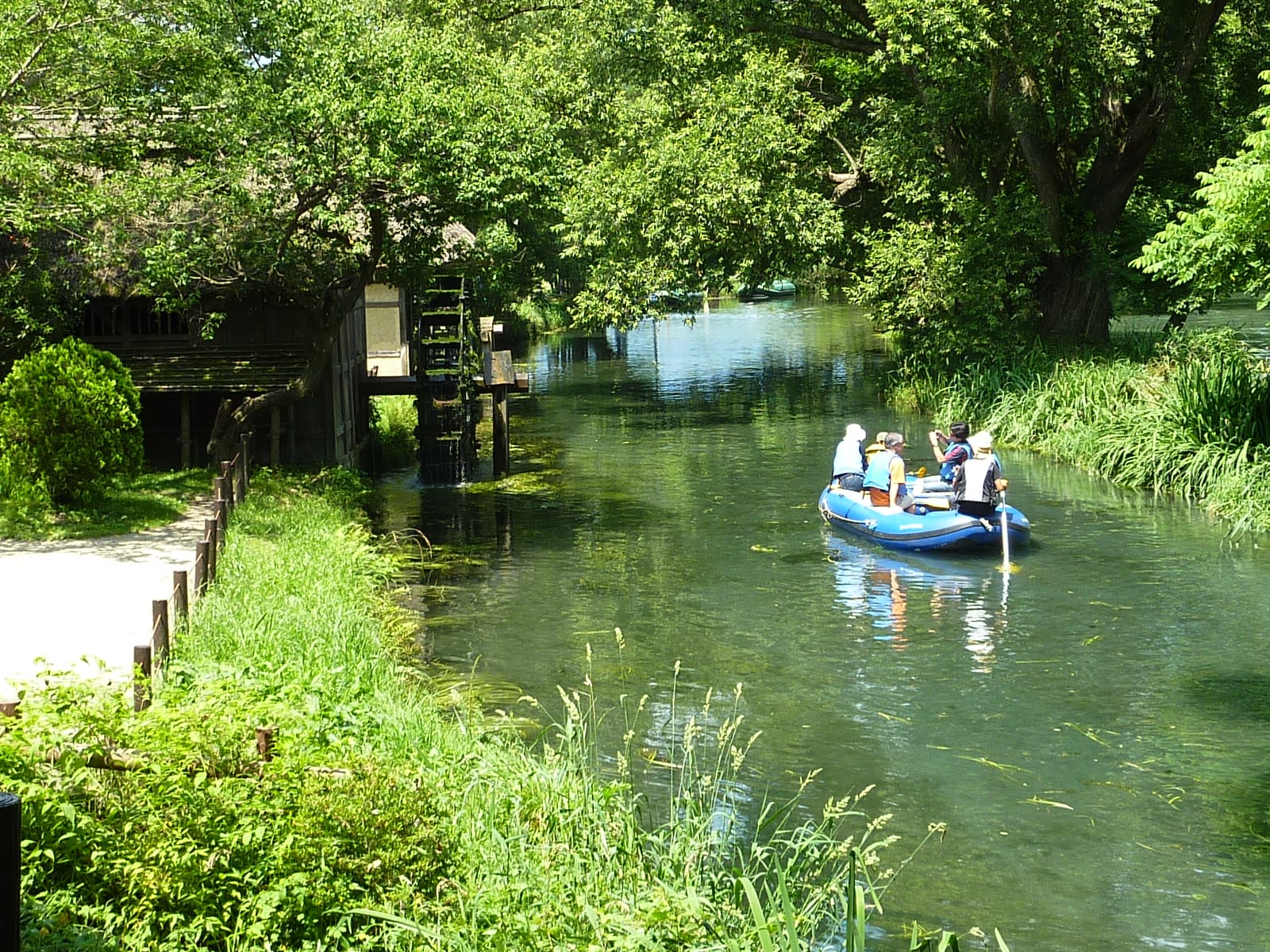 Daio Wasabi Farm Raft Boat Picnic