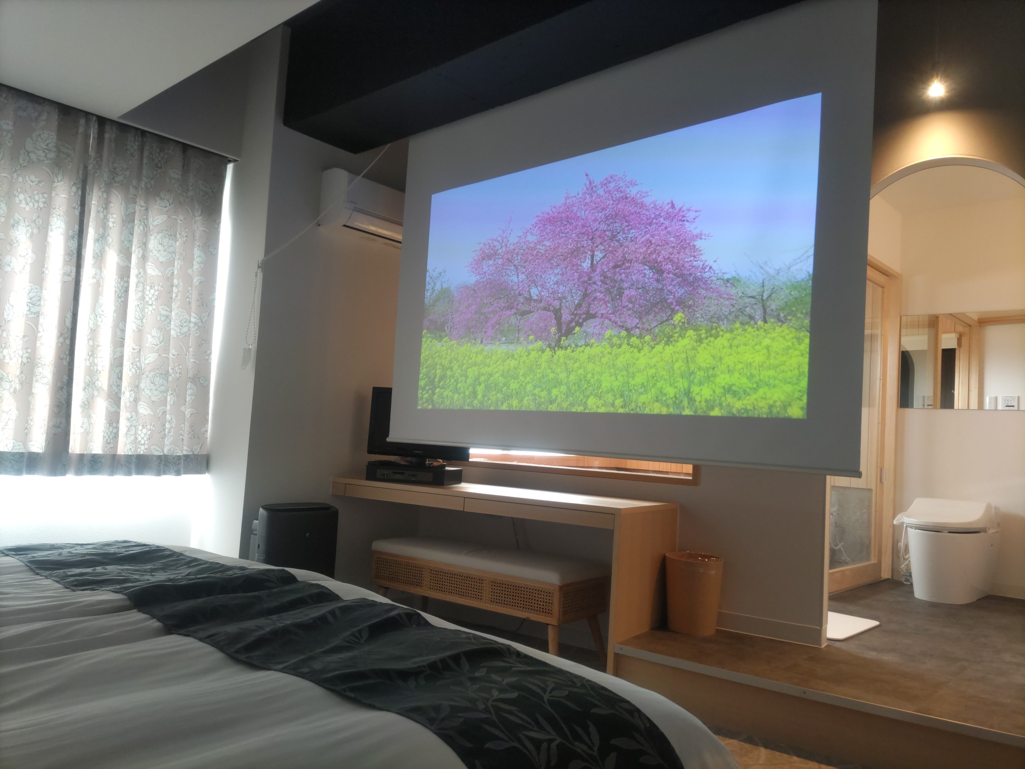 máy chiếu phòng đặc biệt