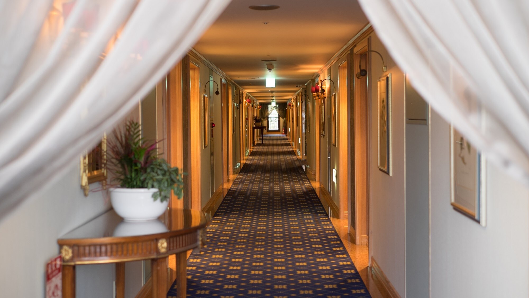 Corridor on the guest room floor like a petit hotel in Europe