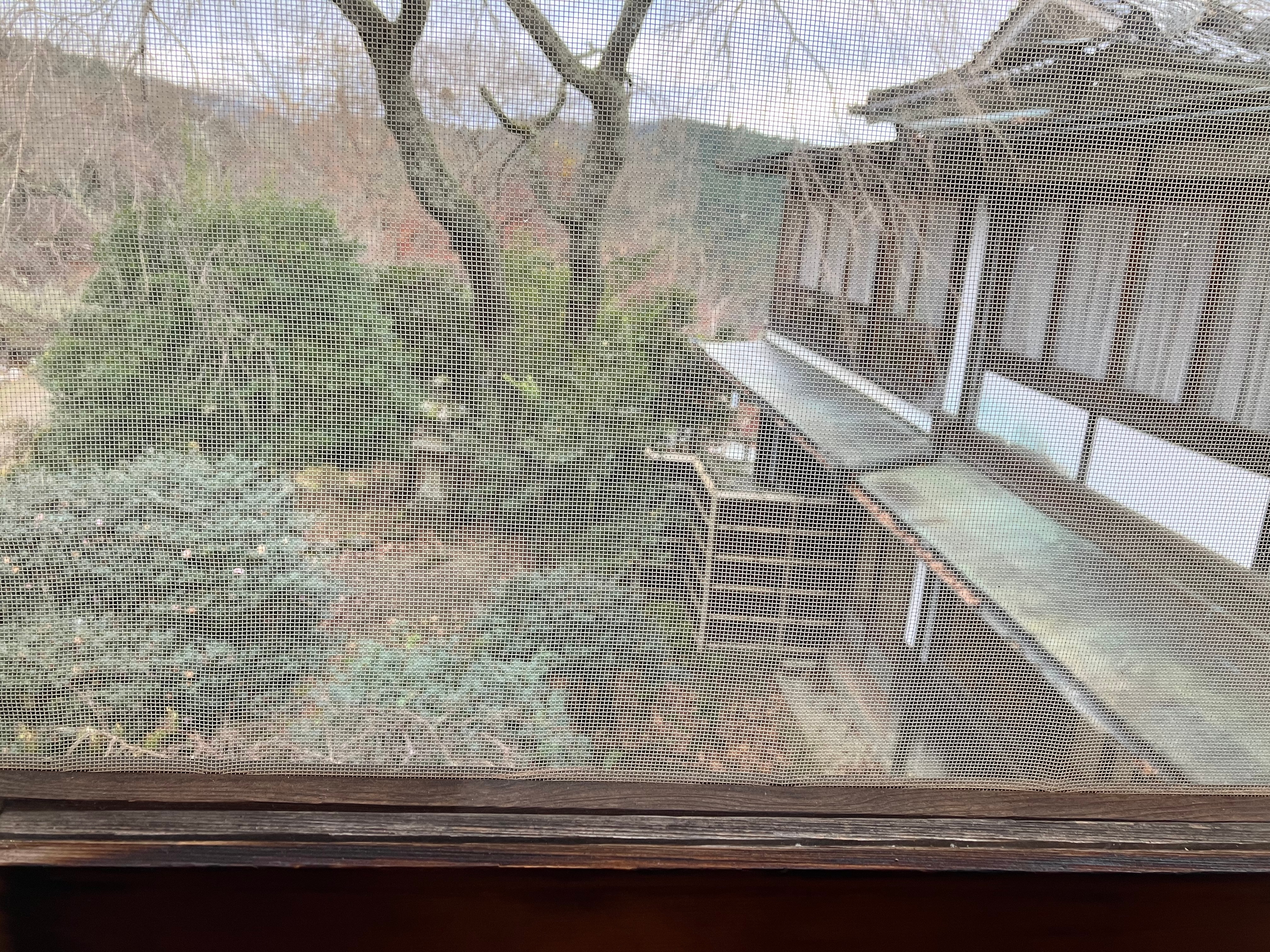 主楼复古客房
