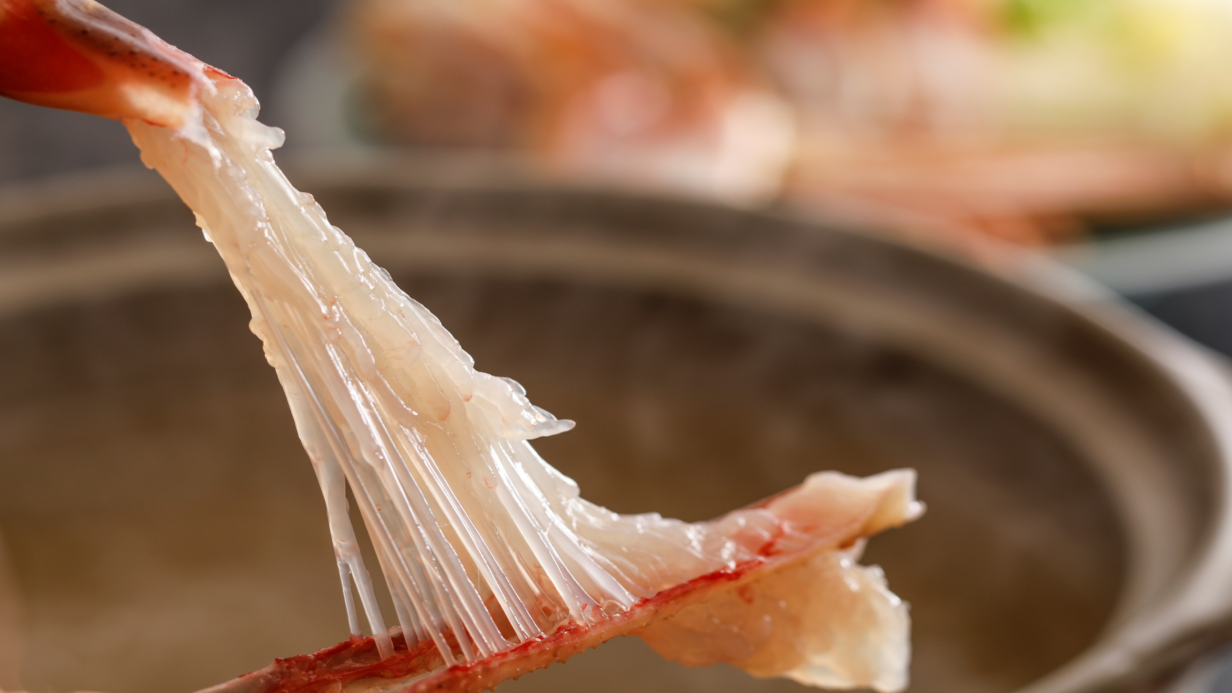 [ปูสด] ชาบูชาบูปูสดที่มีเส้นใยสวยงาม♪