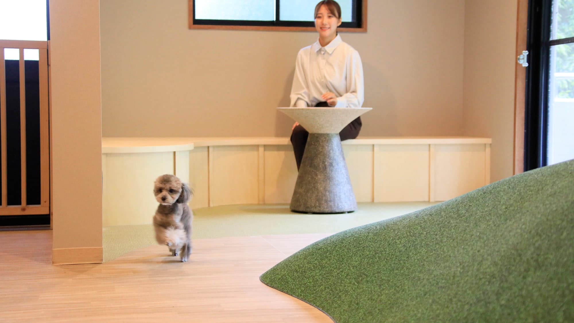 [Indoor dog run] You can play to your heart's content