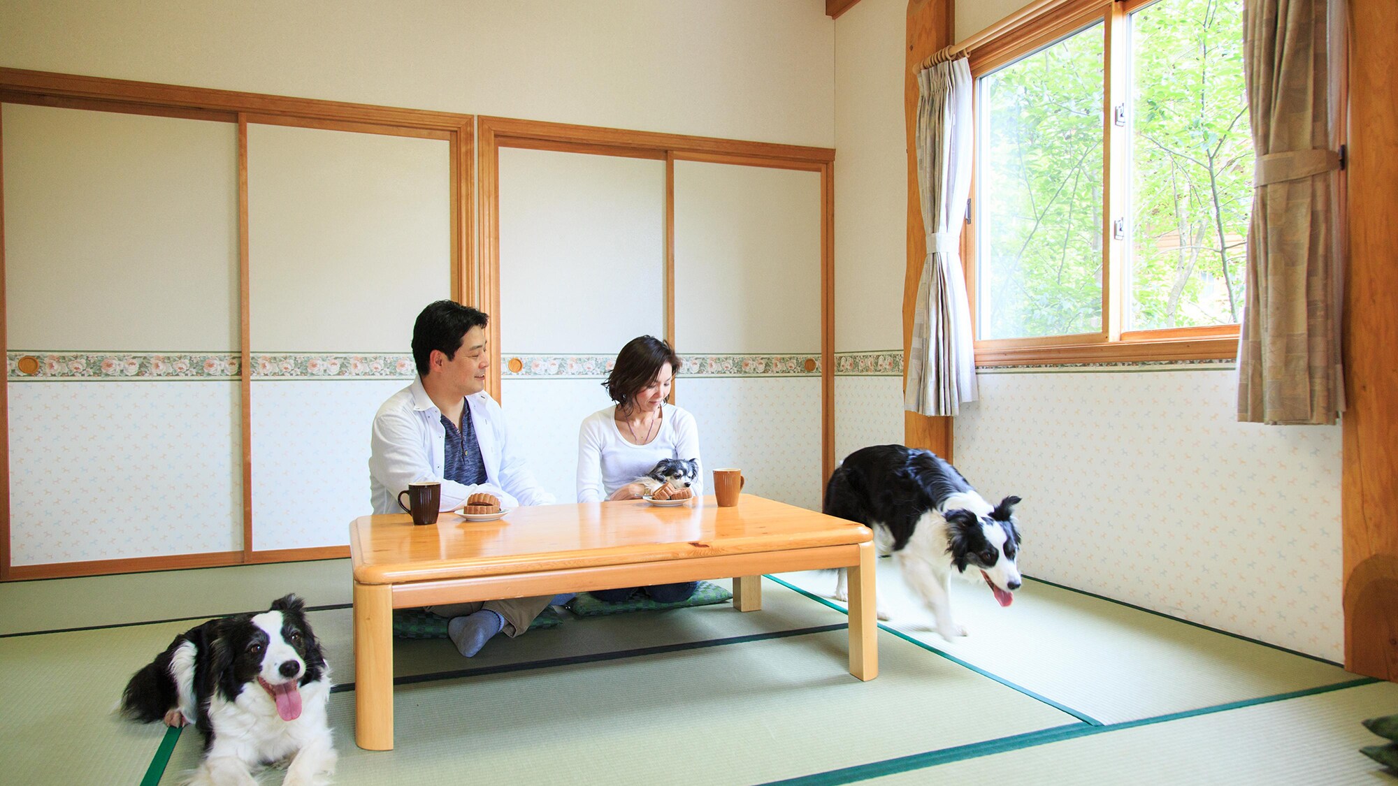■小屋客房■ ＊可携带宠物