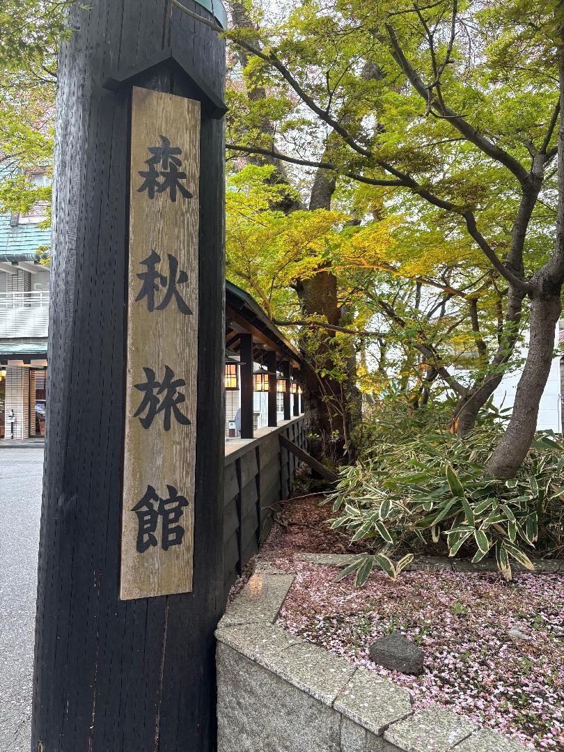 5690E629-3095-4F3E-8186-E61568301042.jpeg