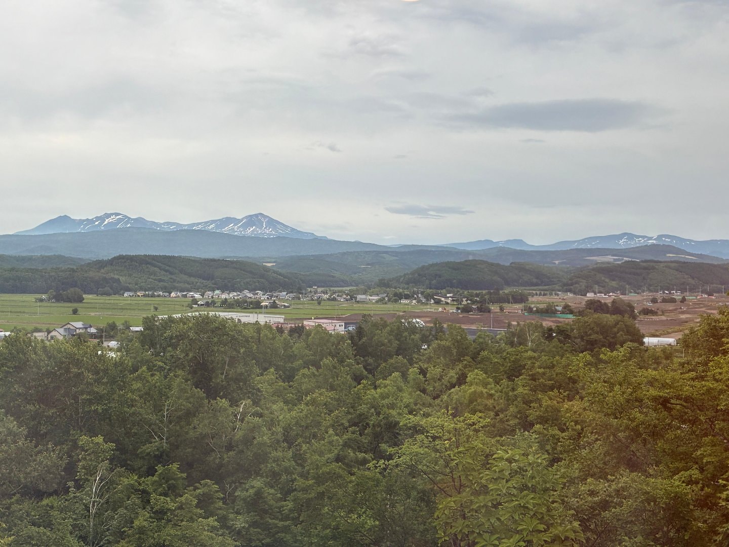 36BBAAF0-C657-4D82-A64E-12DB0037C8A8.jpeg