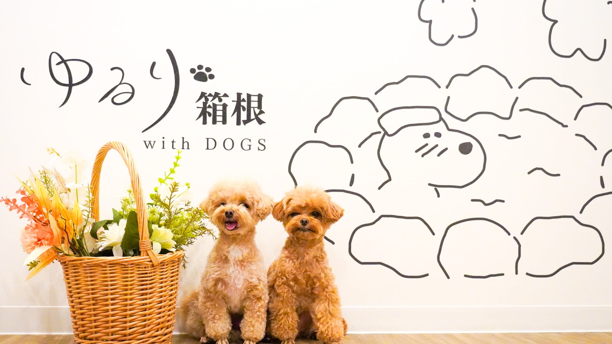 [Photo Studio] Make memories with your beloved dog ♪