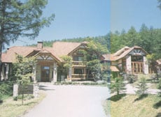 Appearance image