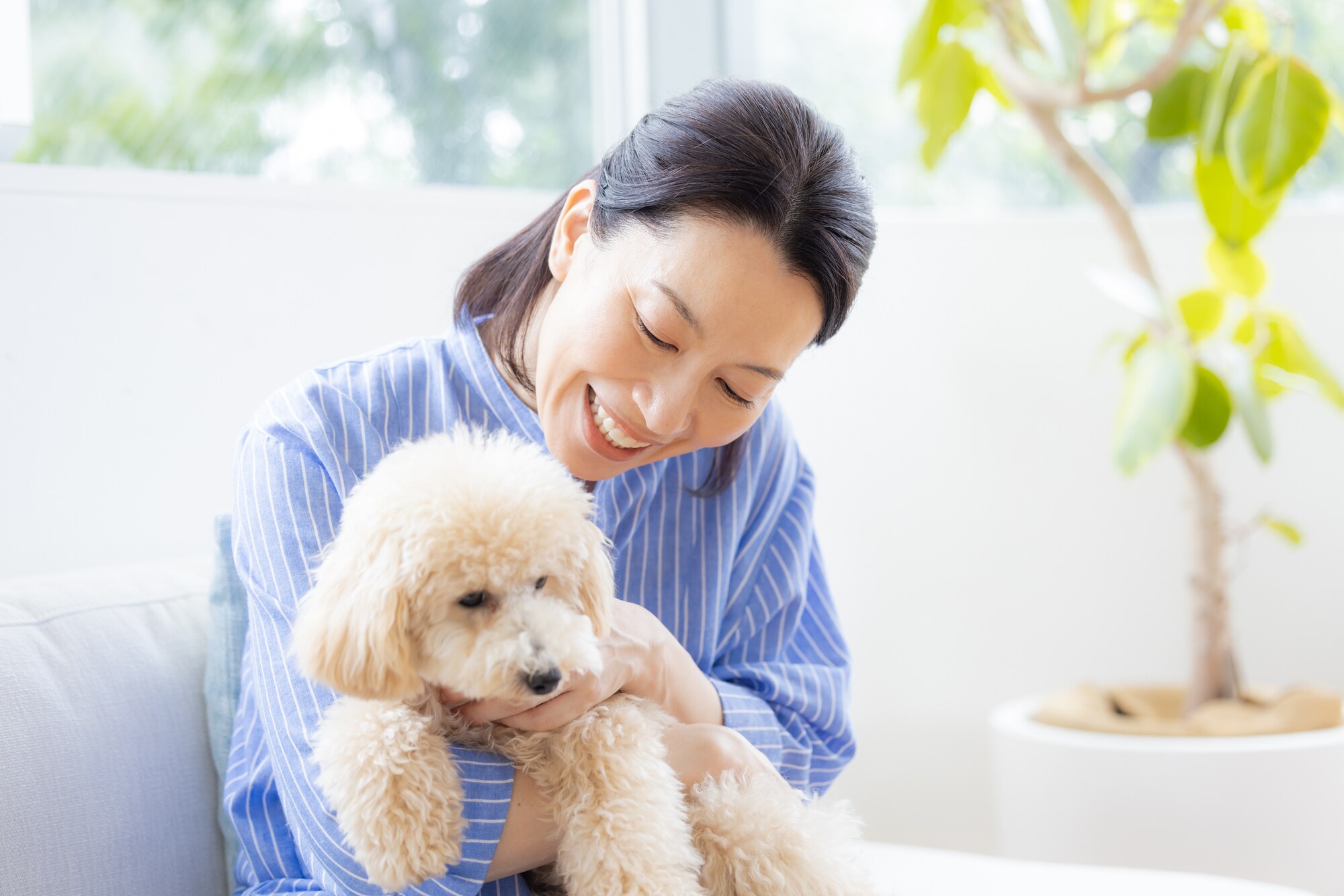Kế hoạch thú cưng