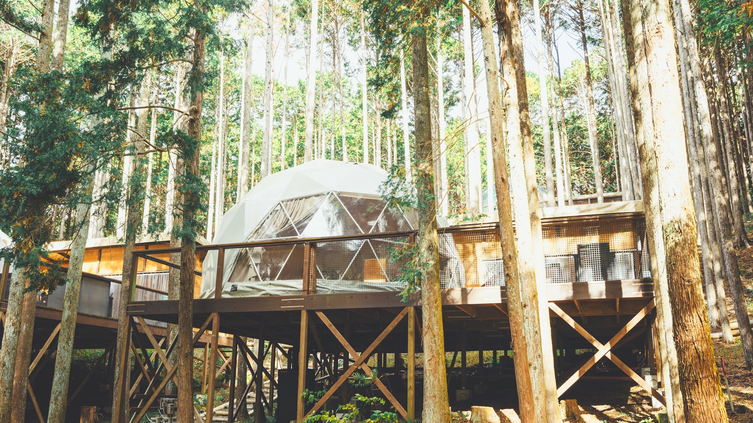 Standard dome tent exterior