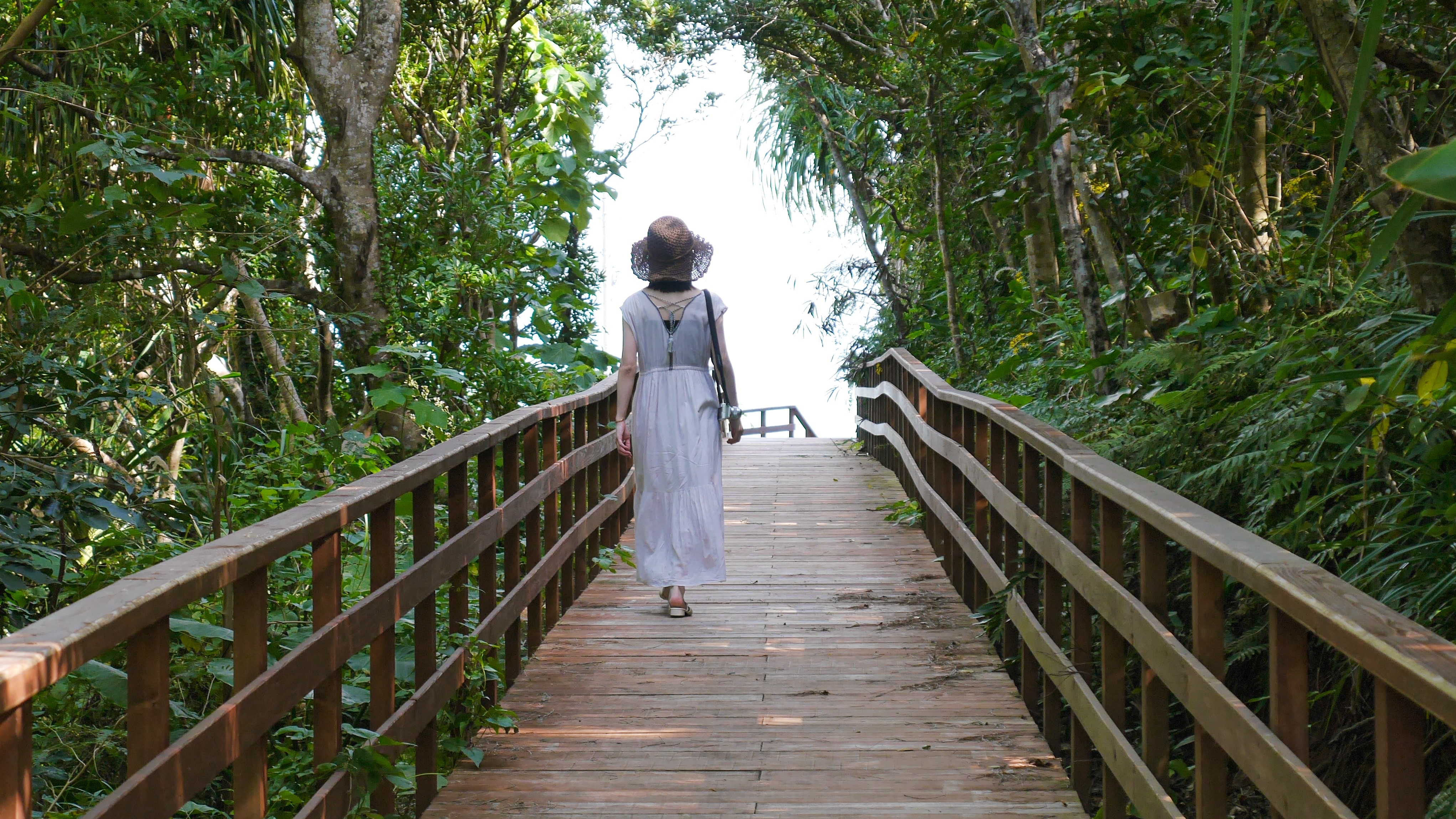 Passing through a fantastical road, we head to the white sandy beach where the sun rises