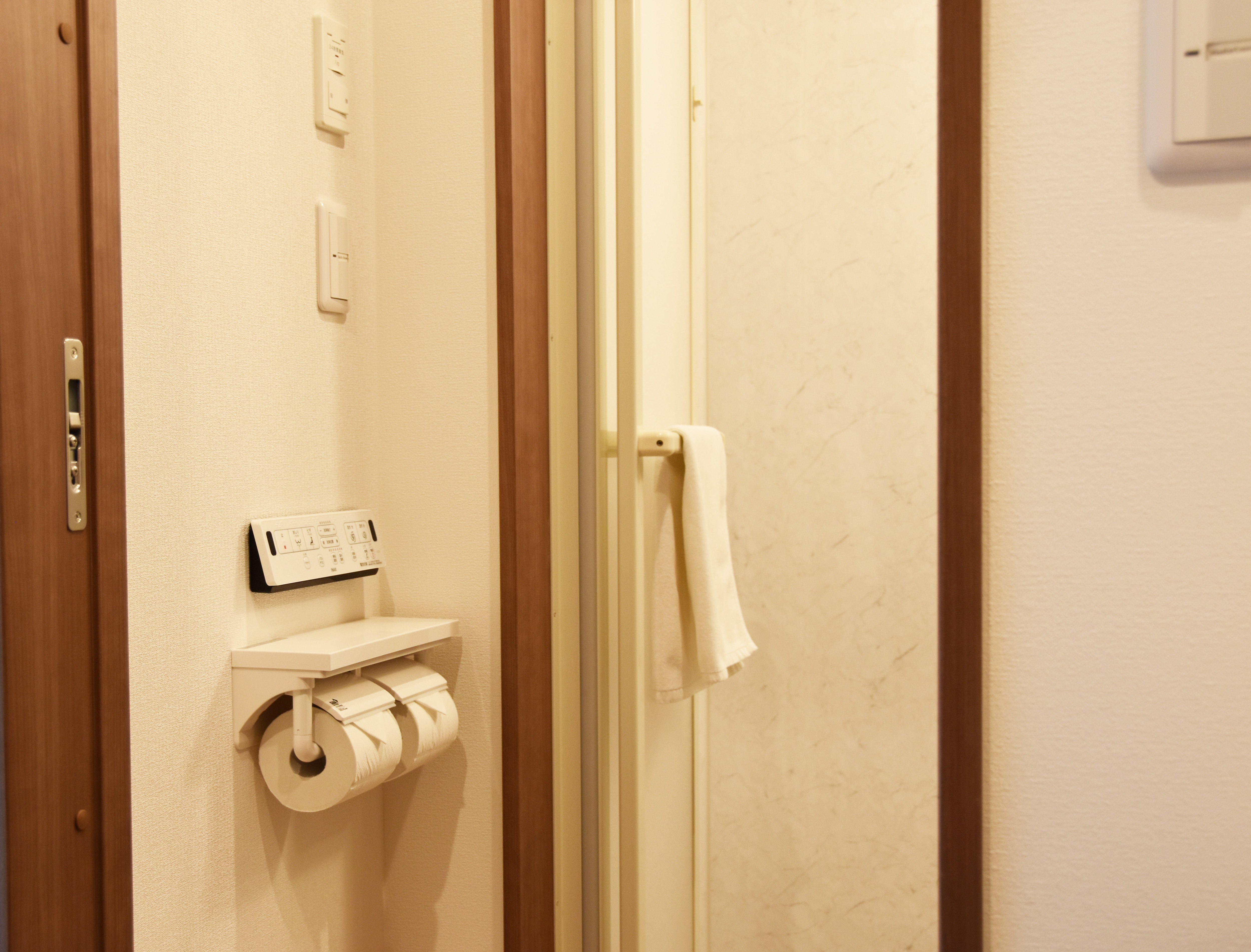 Japanese-style shower toilet