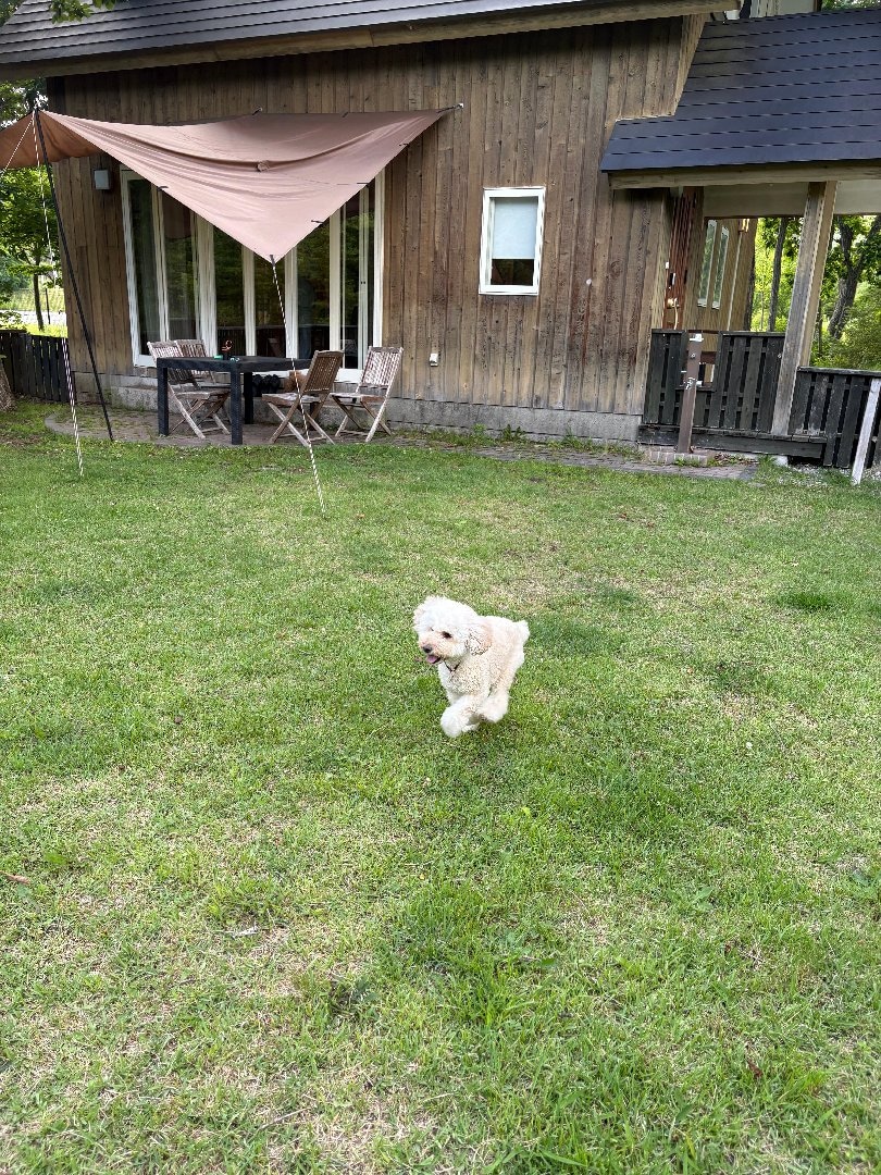 IMG_0744.jpeg