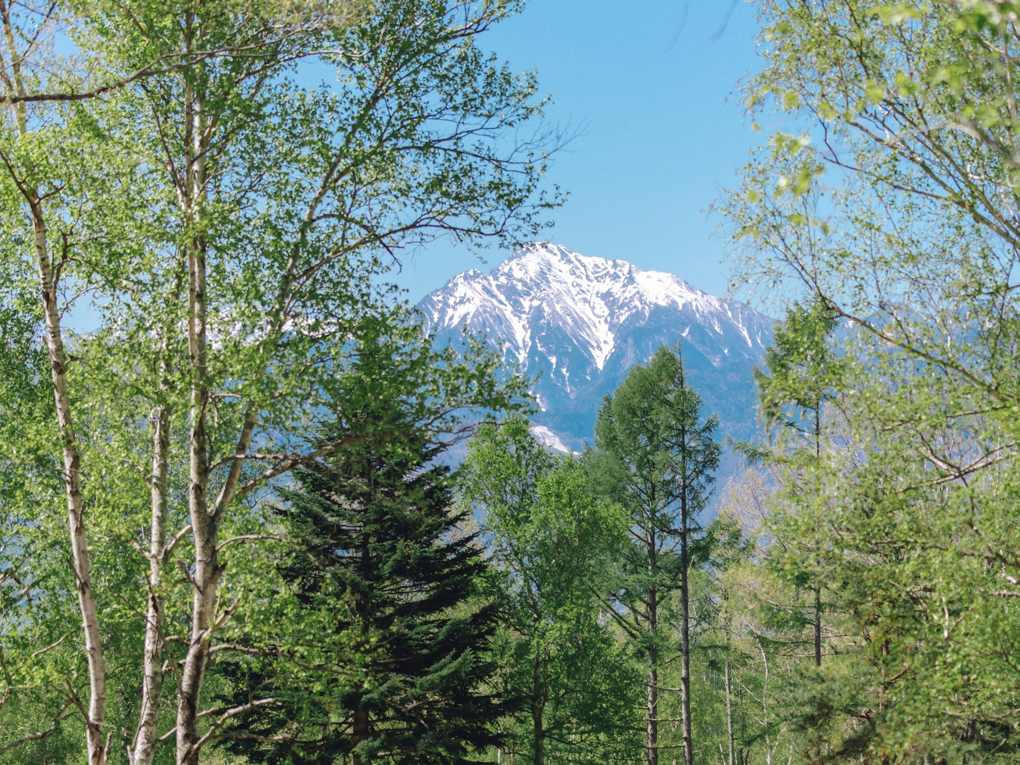 春季南阿爾卑斯山