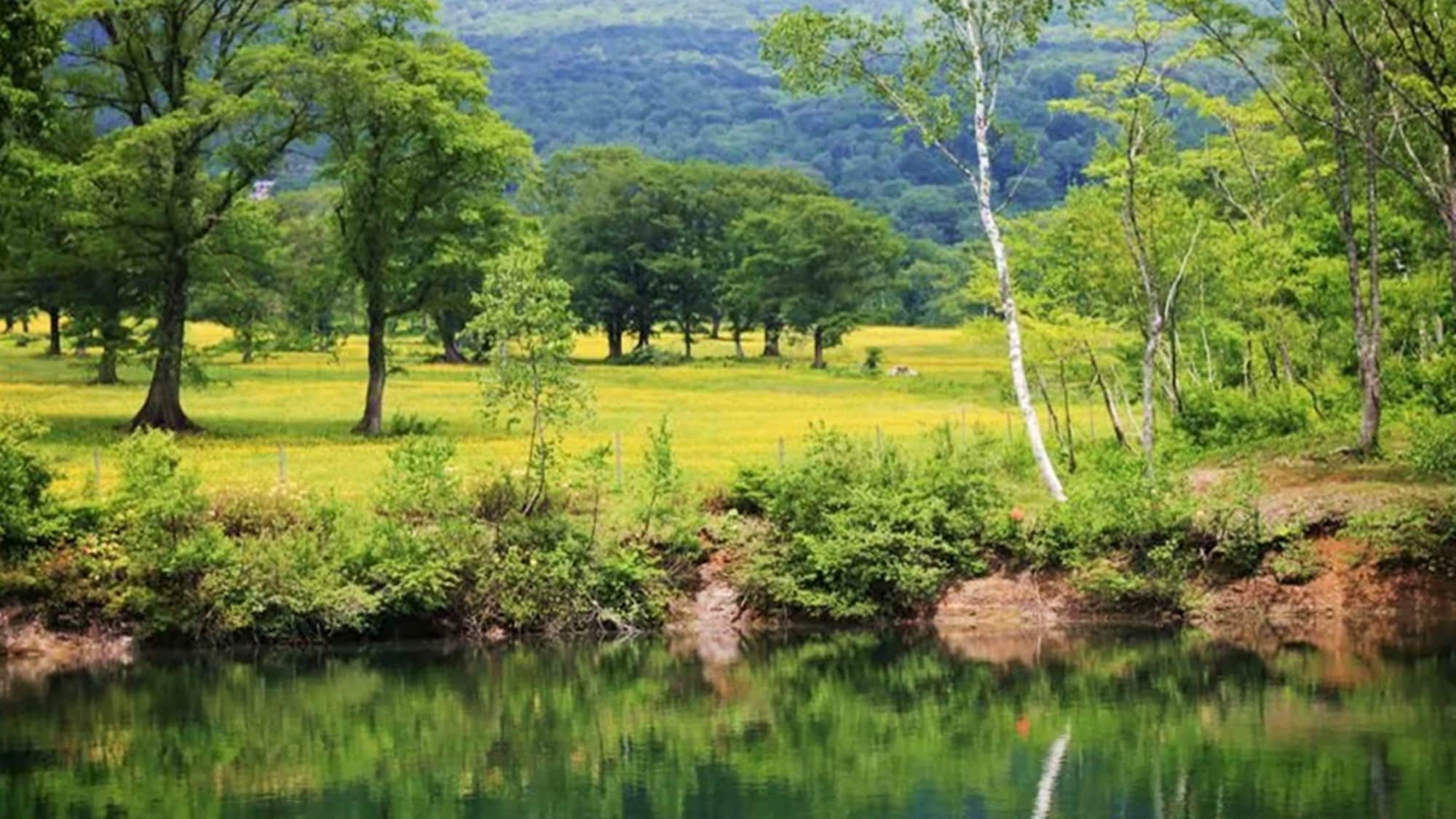 * Sightseeing around / Sasagamine, which has a refreshing climate even in summer, is about 20 minutes by car from the hotel.
