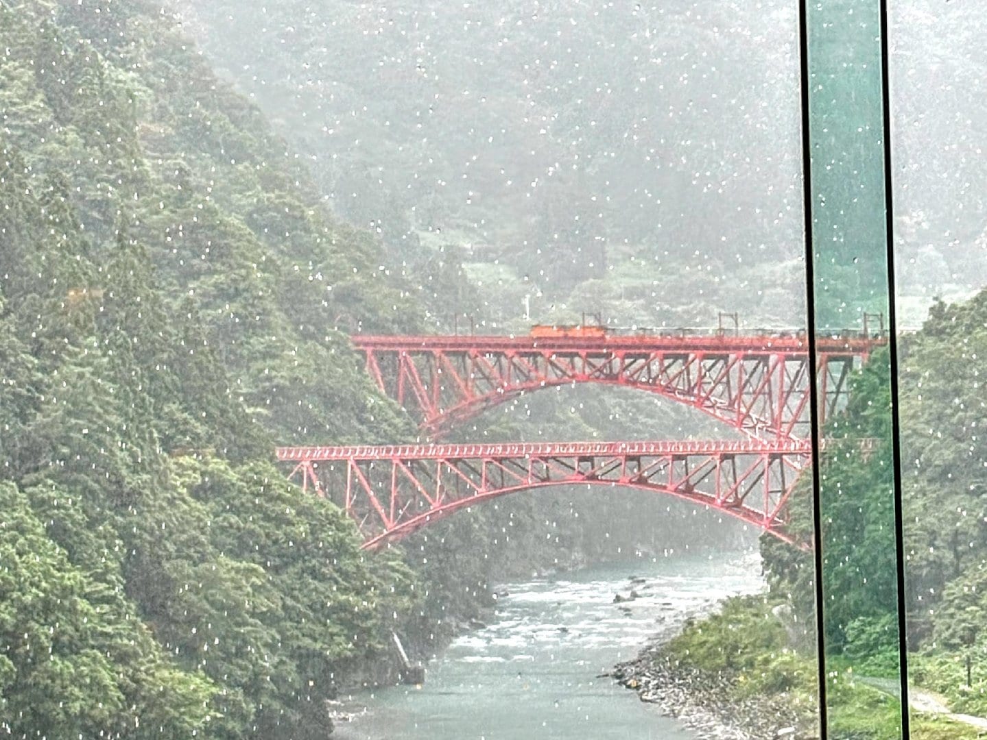 FC4B03F9-0C56-4427-B016-AA2B95272638.jpeg