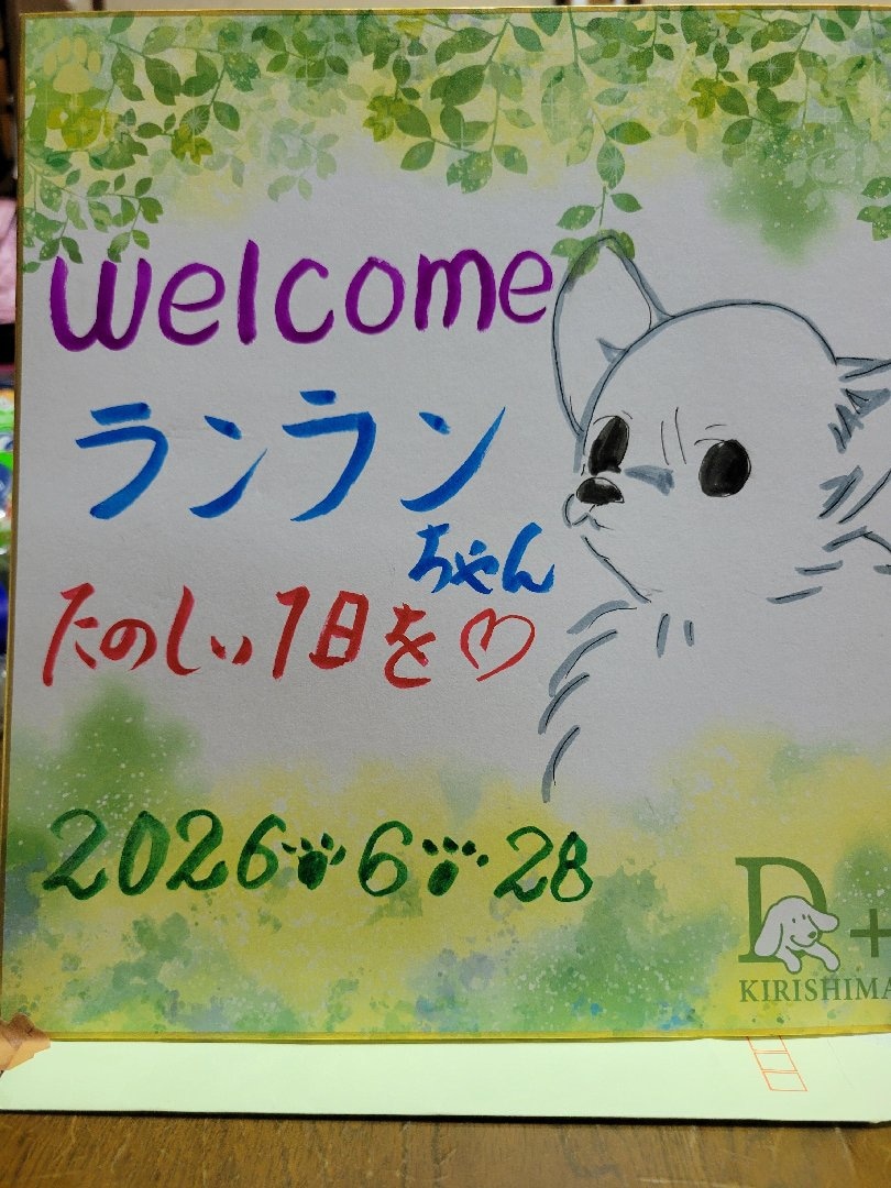 1000025250.jpg