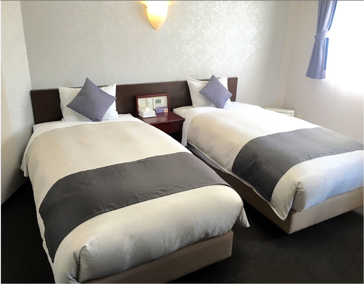 Bright and spacious twin room