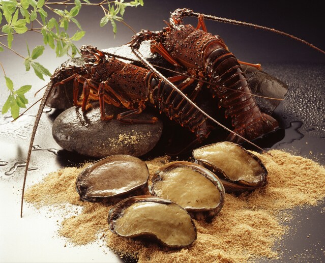 [Sagami Bay x Suruga Bay bounty] Gourmet Japanese kaiseki cuisine made with seasonal ingredients carefully selected by Executive Chef Izu