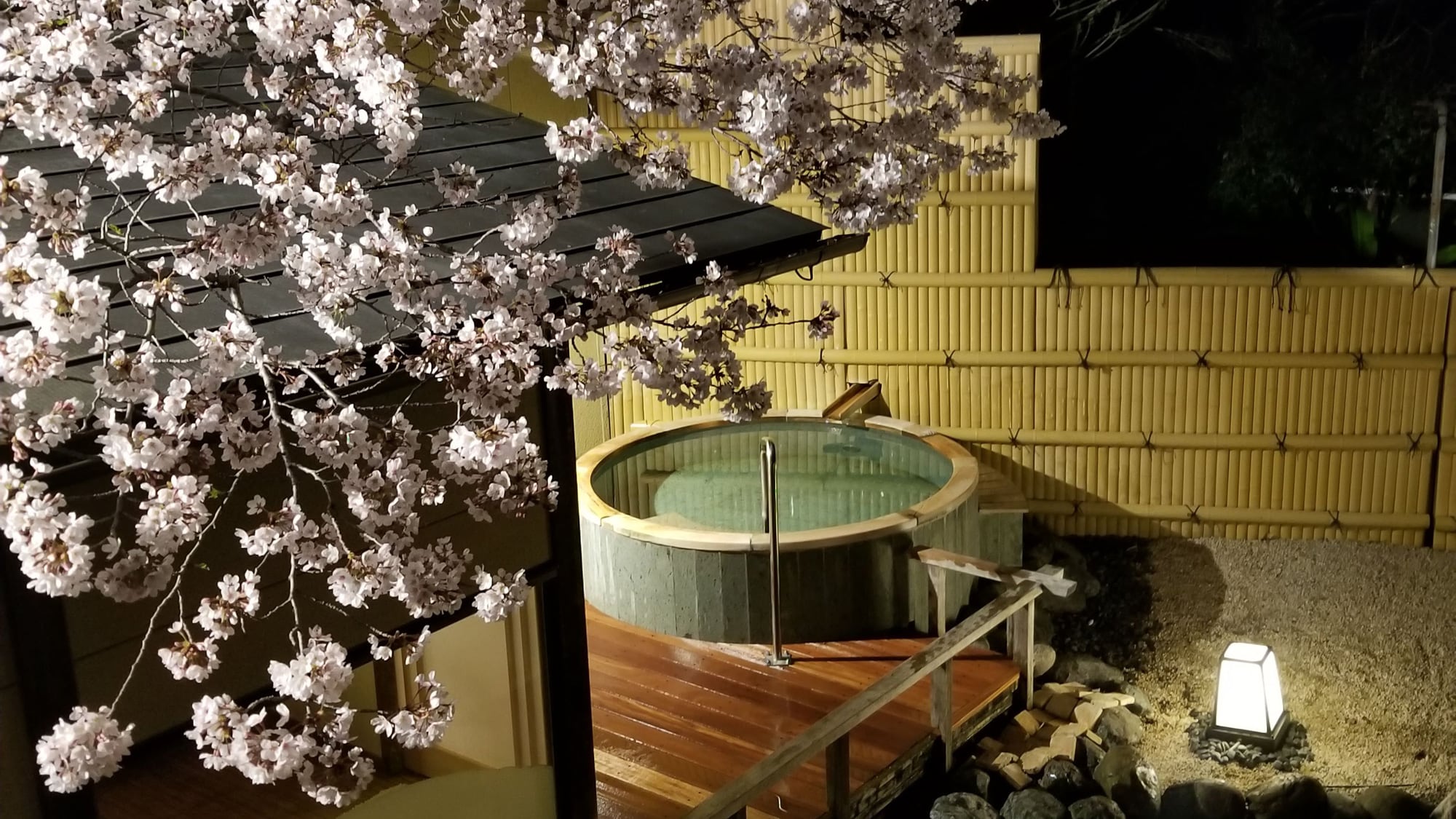 夜桜満開の露天風呂