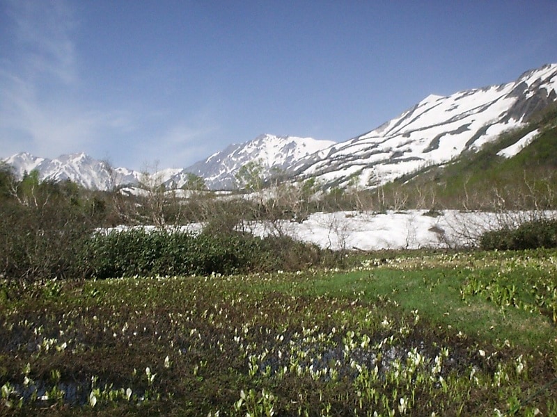 Tsugaike Nature Garden