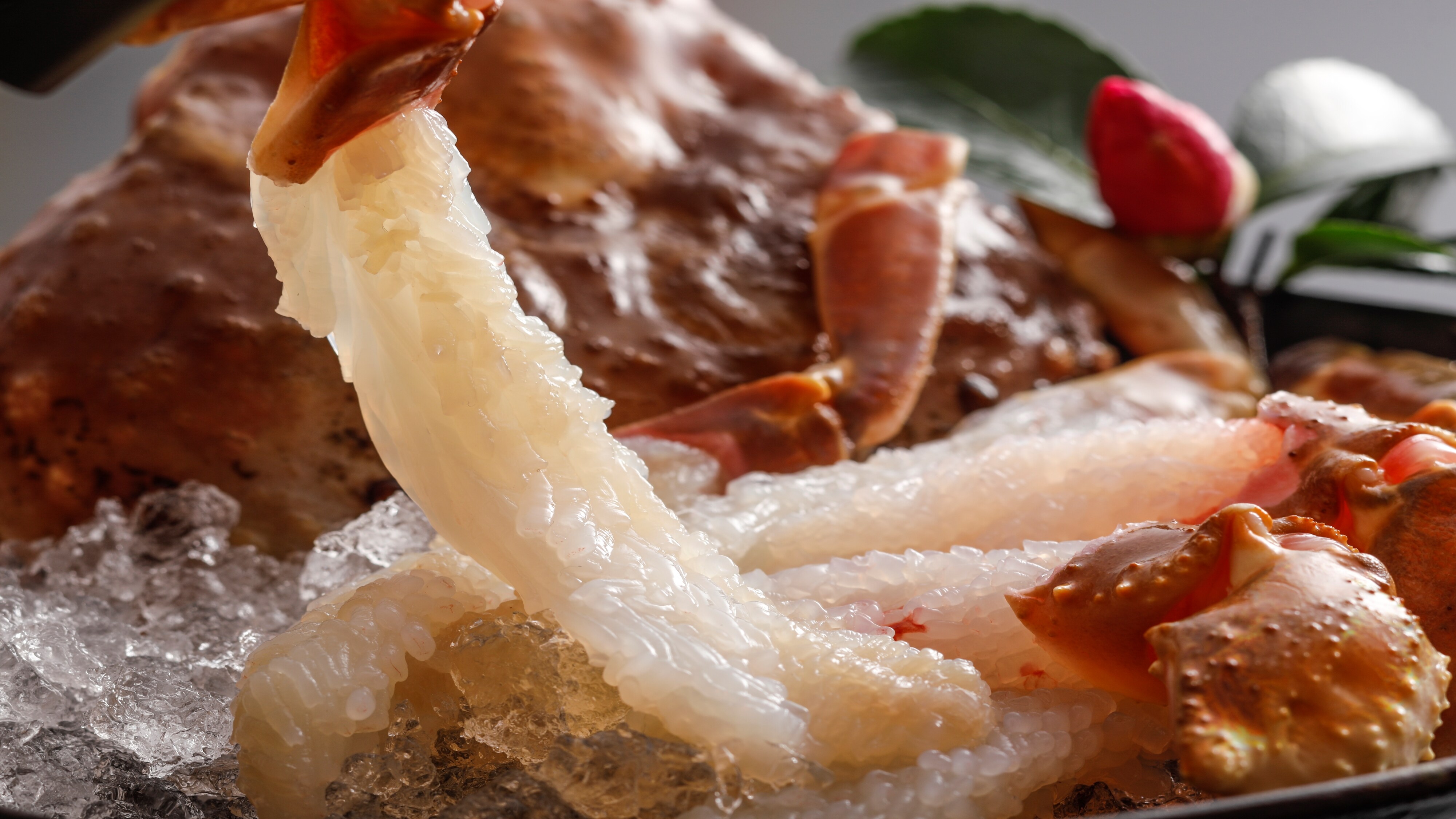 [ซาซิมิปูสด] ซาซิมิปูสด ที่งดงามราวกับดอกไม้บาน!