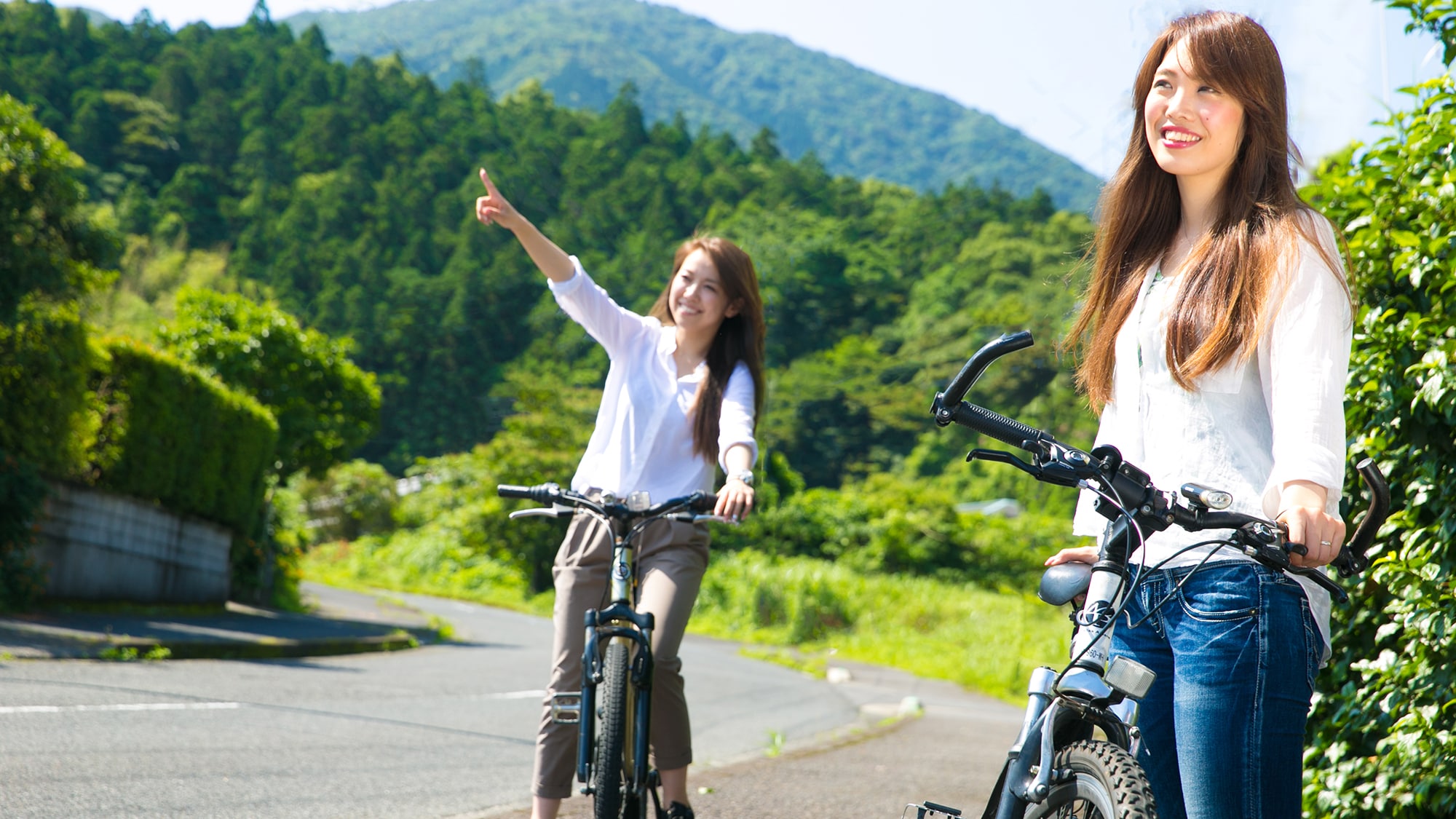 [Bicycle rental]