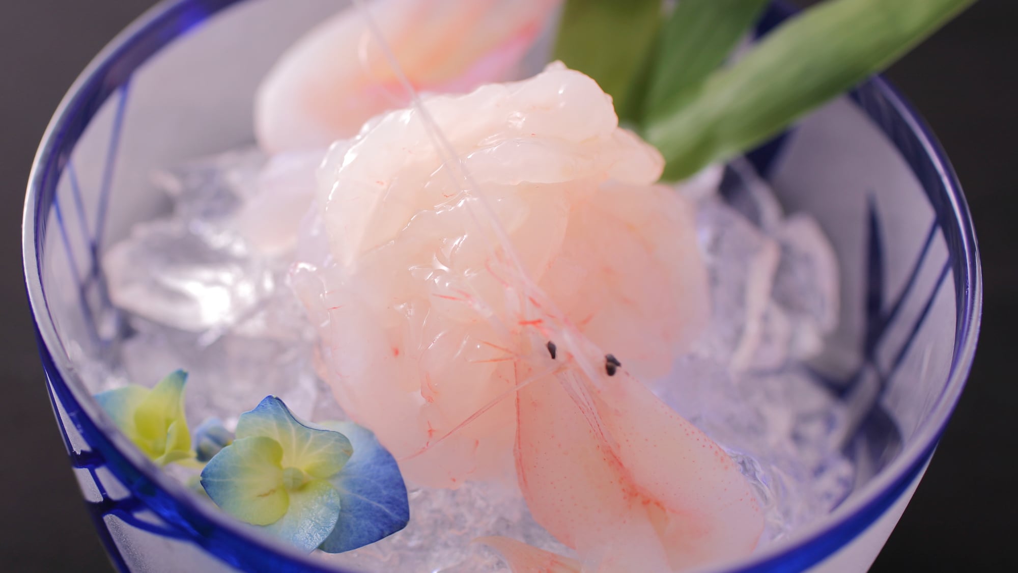 【春季料理】新鮮白蝦～口感厚實、甘甜細膩～