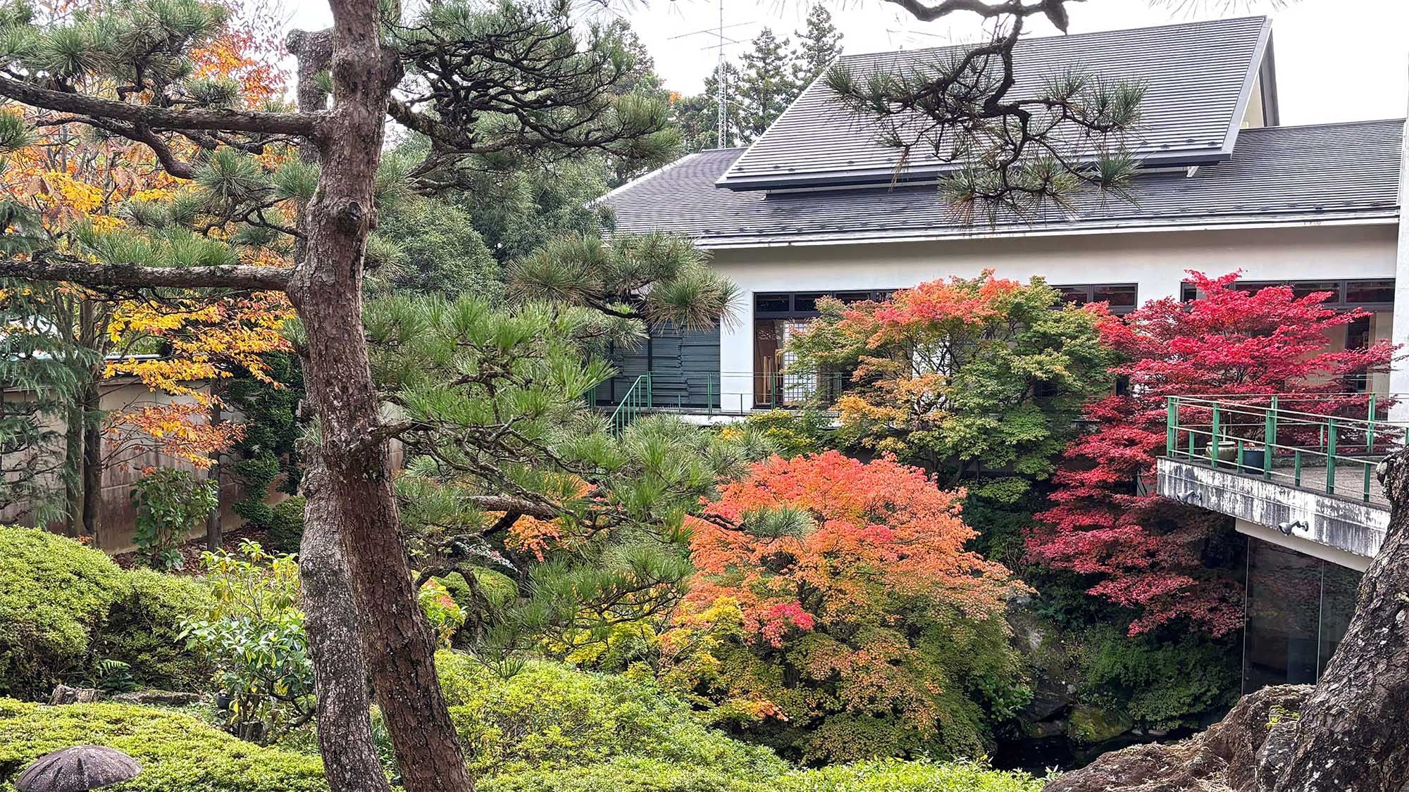 庭院（秋葉）