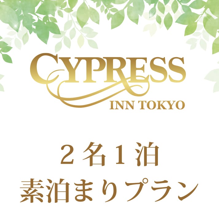 2人，1晚，不含餐