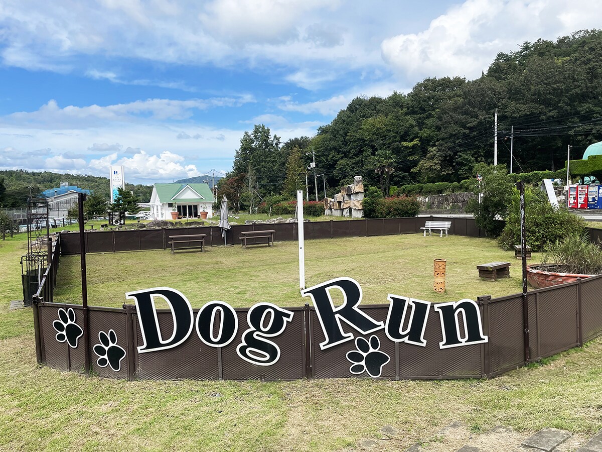 狗跑