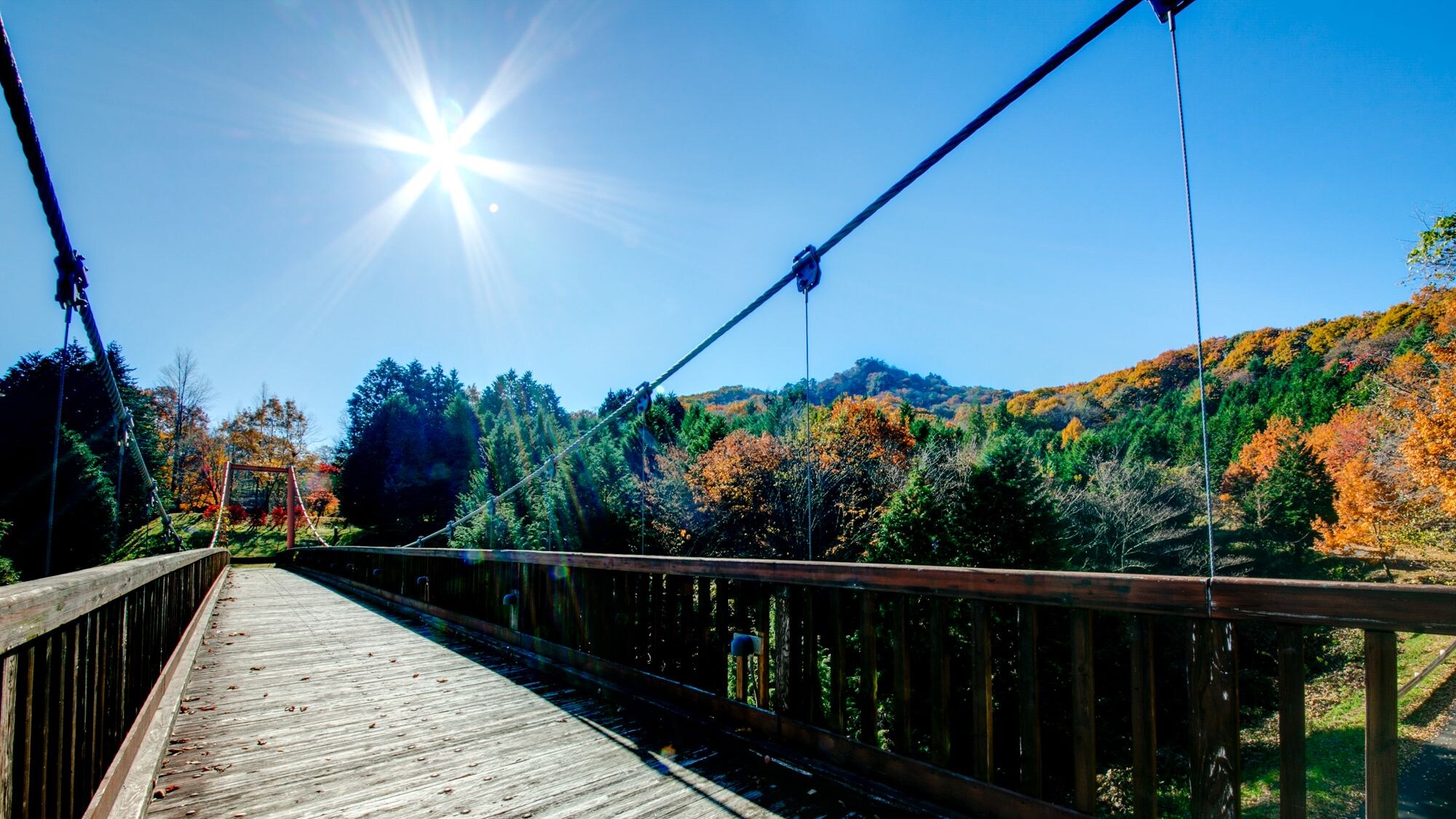 ★Suspension bridge