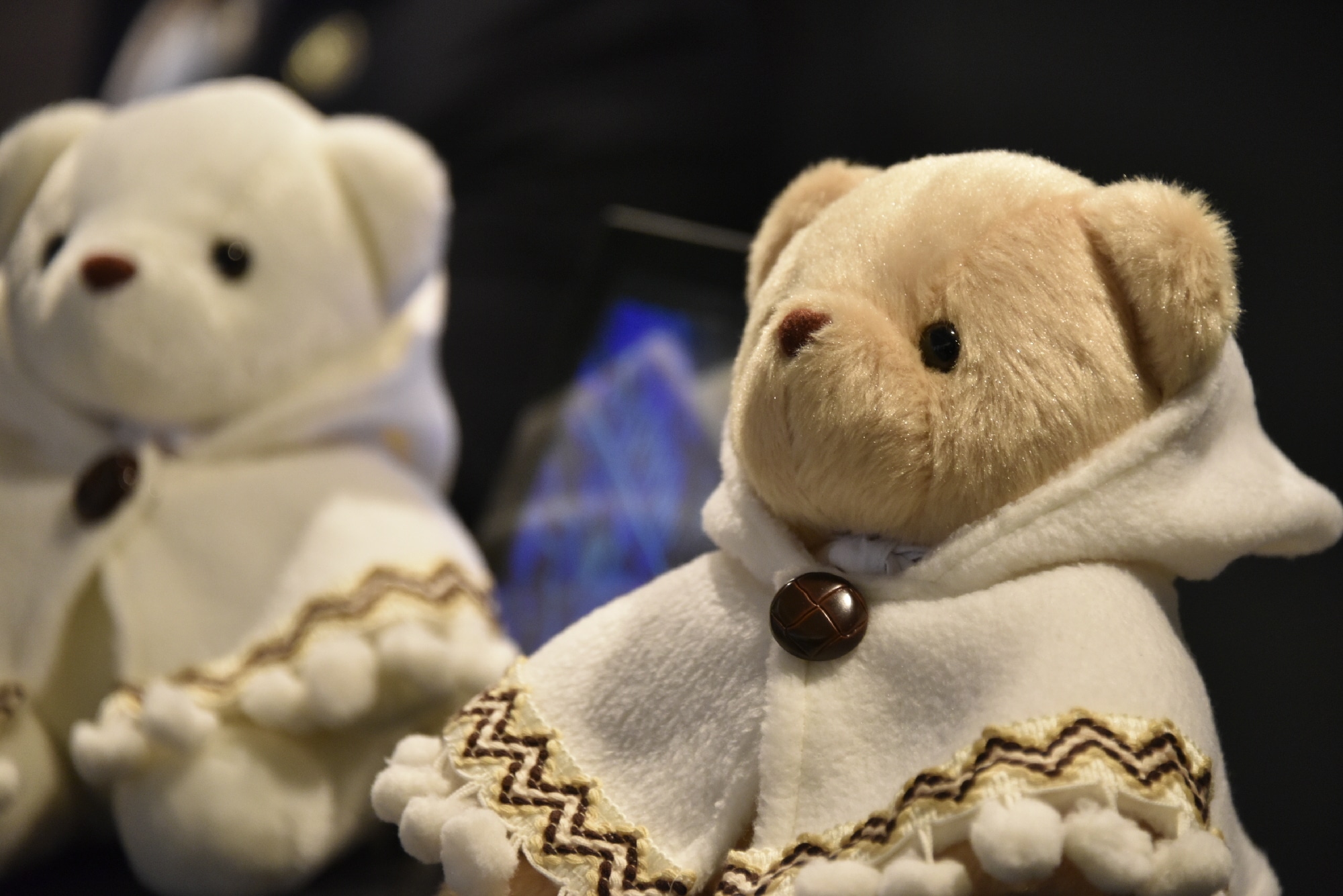 BW teddy bear