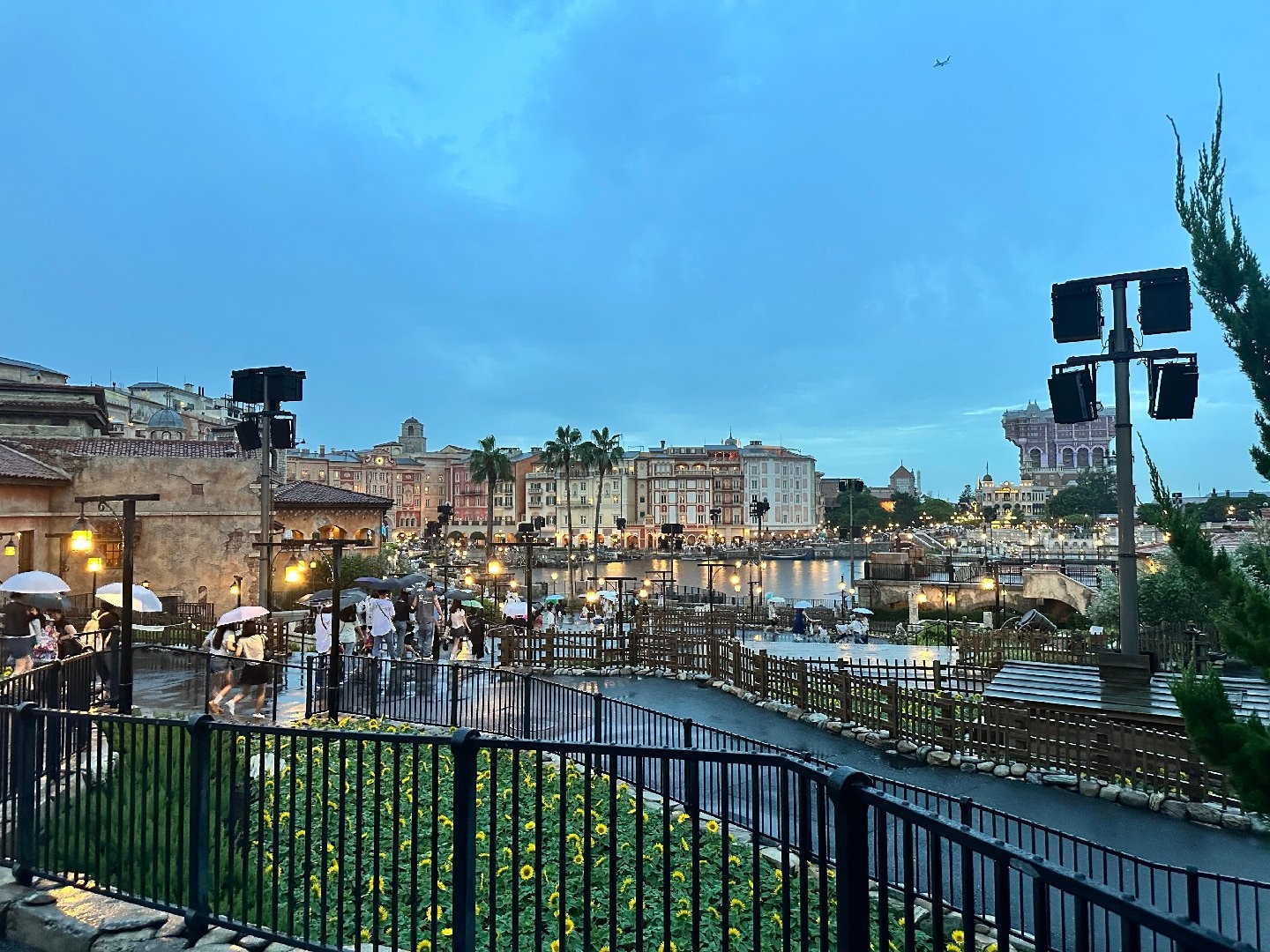 IMG_0217.jpeg