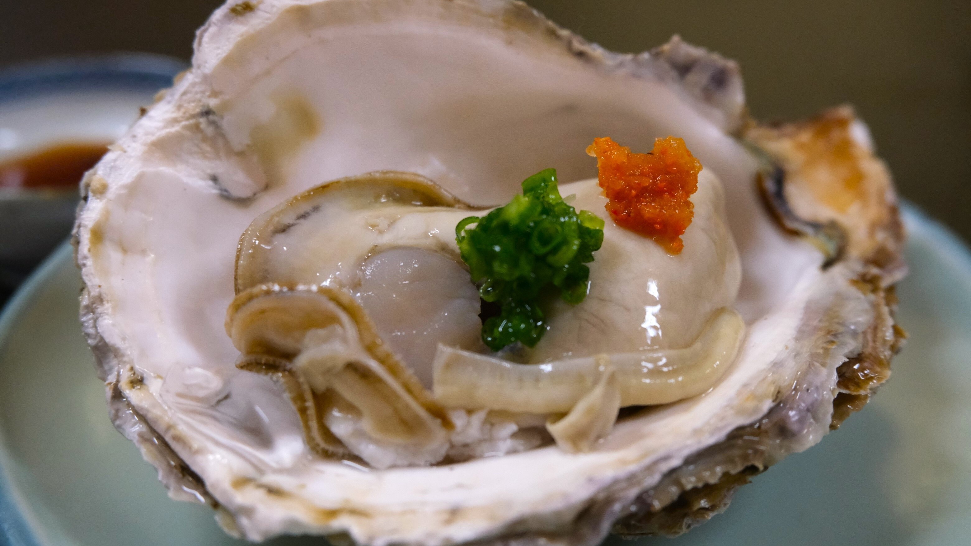 【夏日美食】夏日美味：肥美的岩牡蛎，口感醇厚、奶香十足！