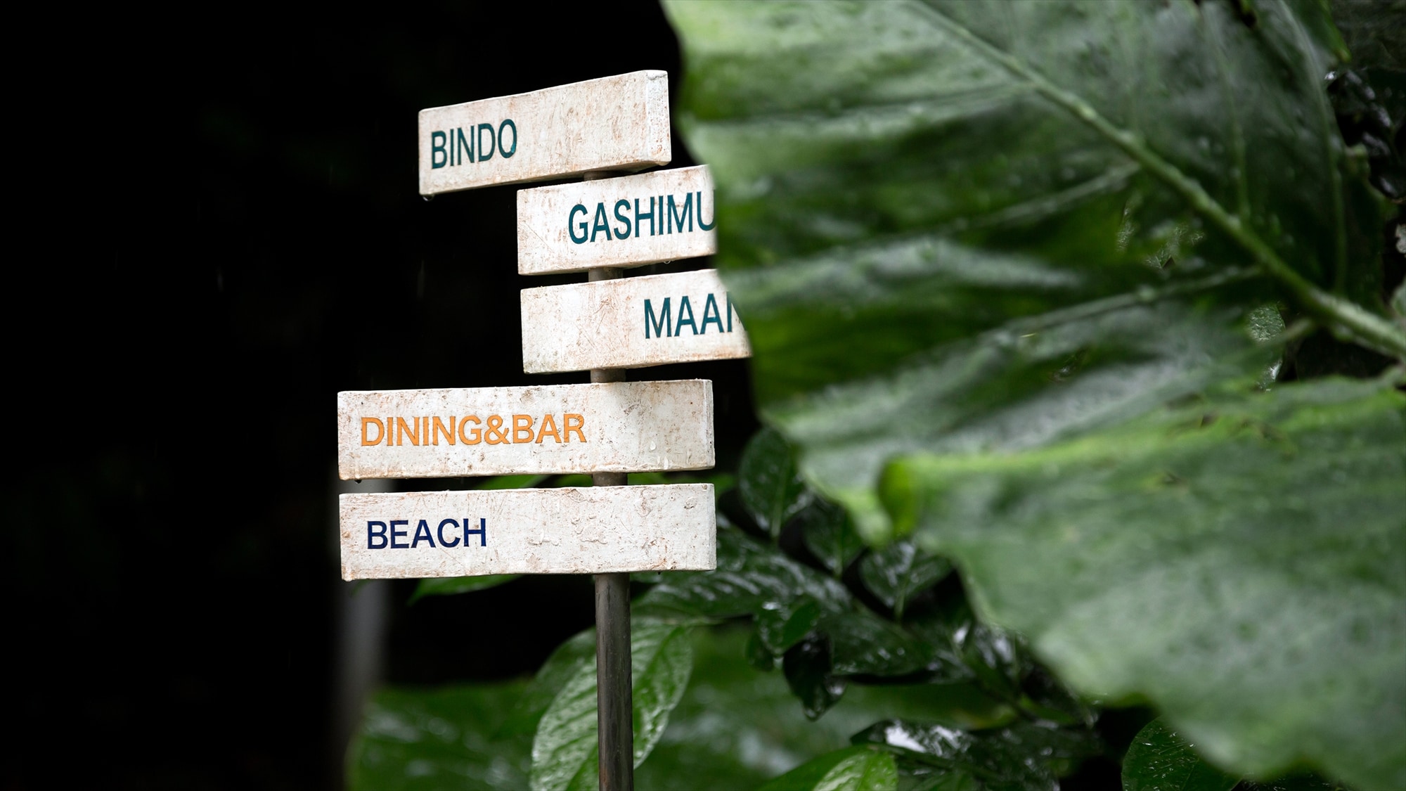 |Hutan JUSANDI|