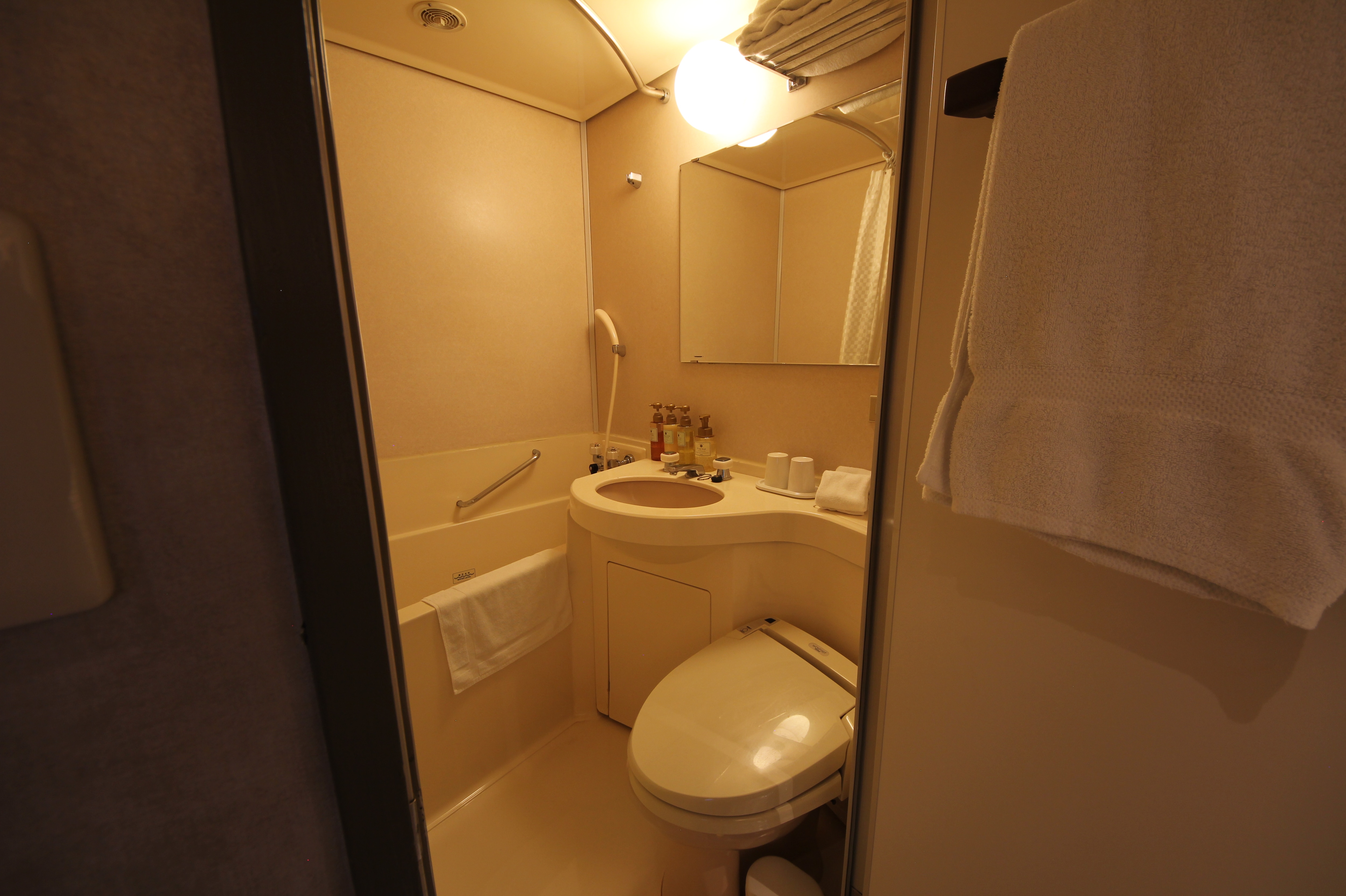 Room 729 Unit Bath