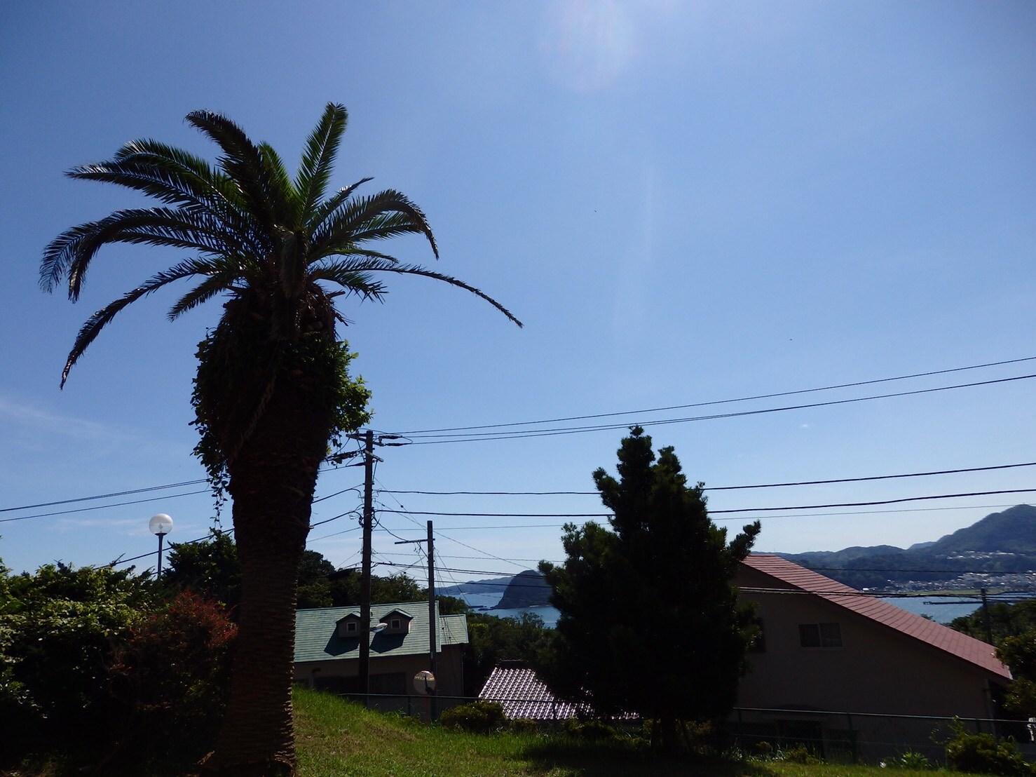View