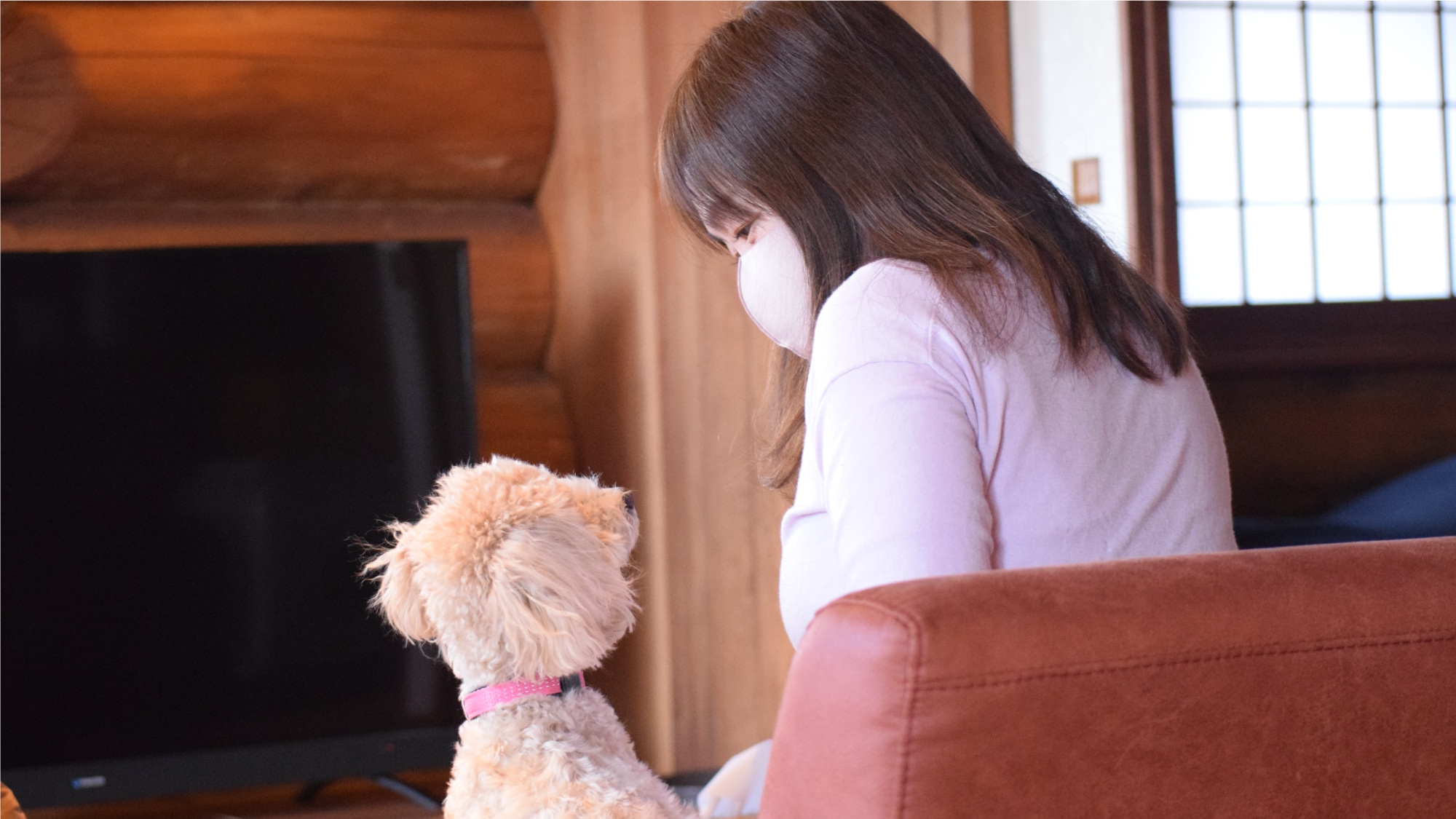 [อิซุ สกายไลน์ 208] วิลล่าให้เช่าที่คุณสามารถพาน้องหมาเข้าพักได้♪