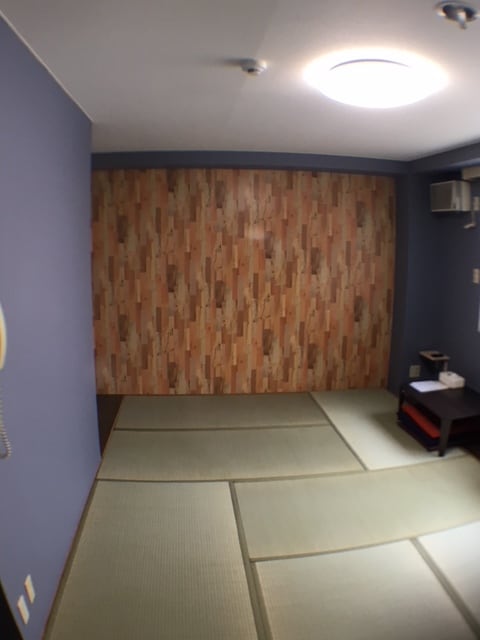 20 square meters, 9 tatami mats, floor room available