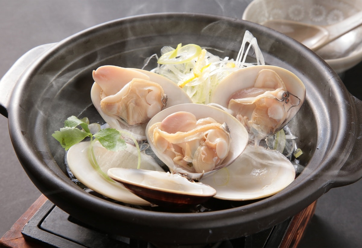 참나무의 술찜