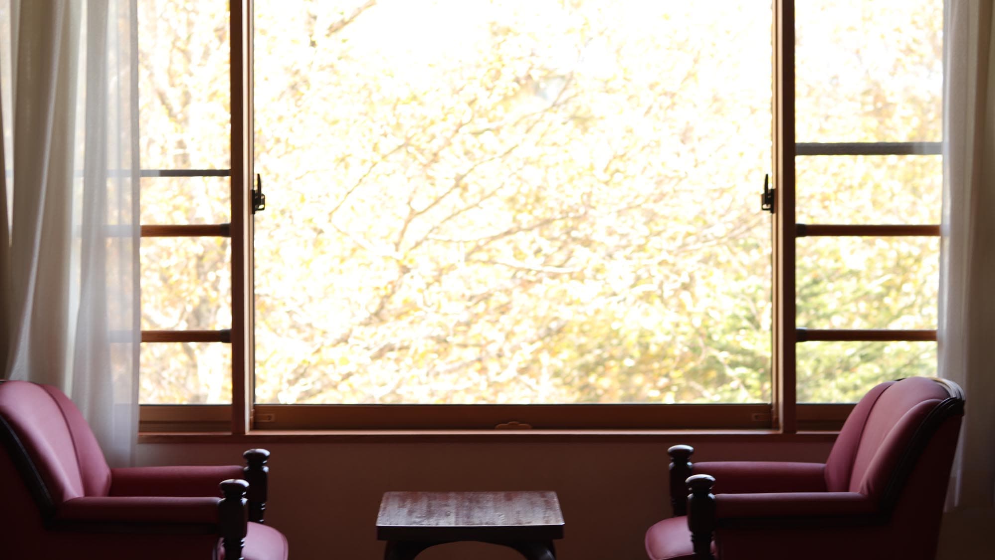 [West Wing ■ Japanese-style room 12.5 tatami mats] Relax on the wide veranda