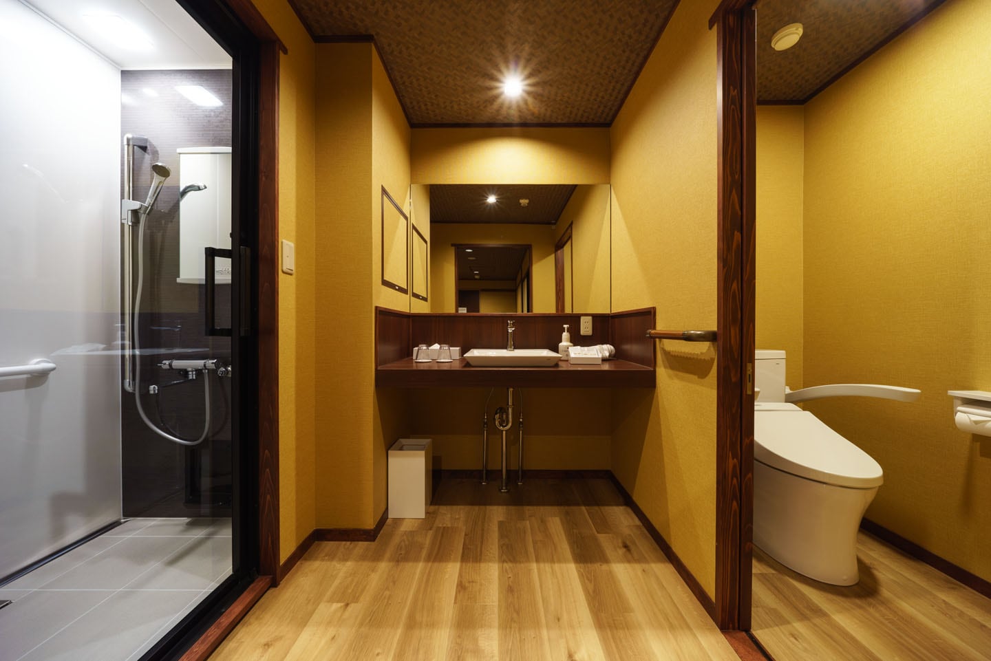 Functional plumbing "shower room, washbasin, toilet"