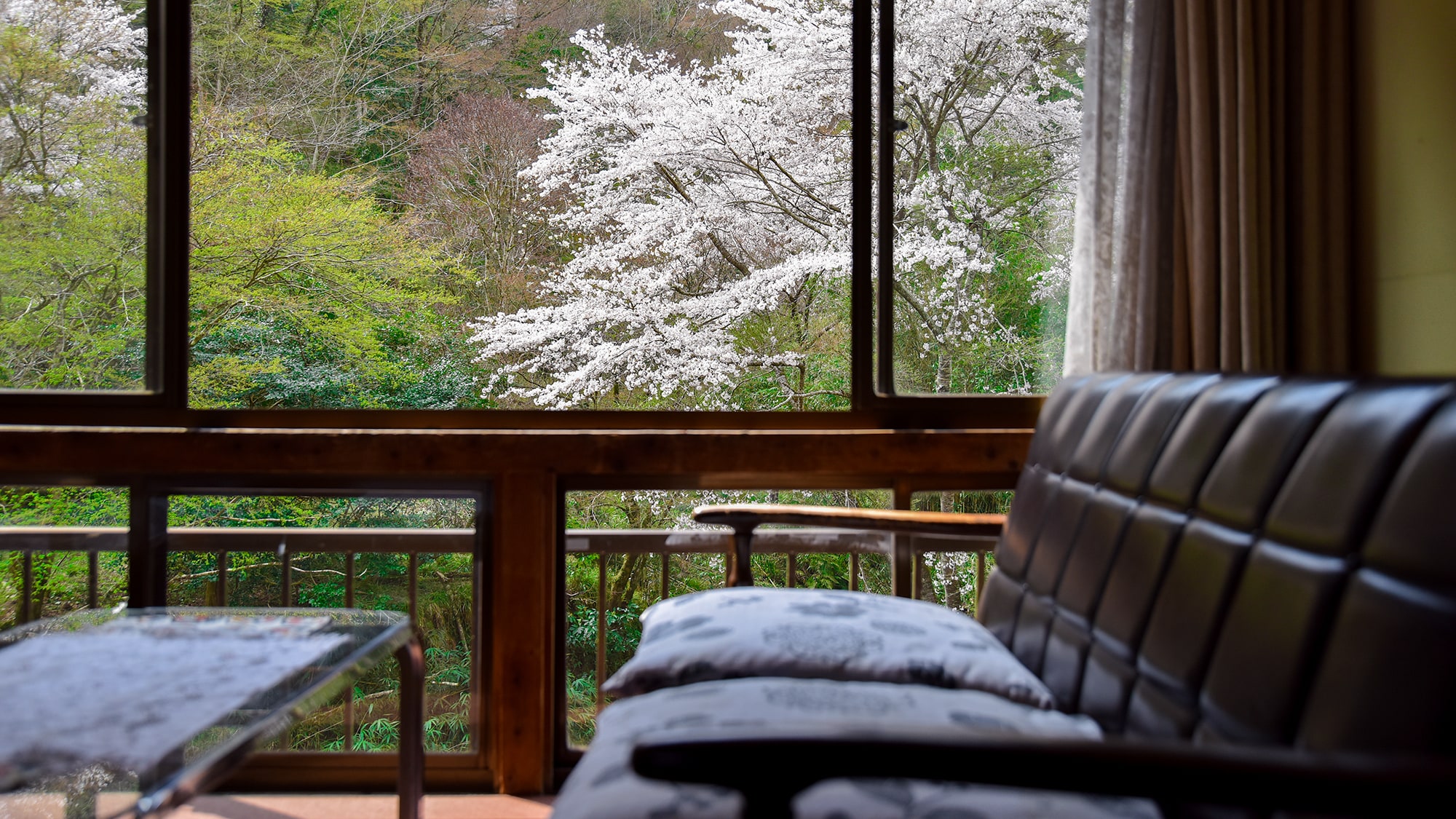 *[Japanese-style room] Many guests come to enjoy the cherry blossom season.